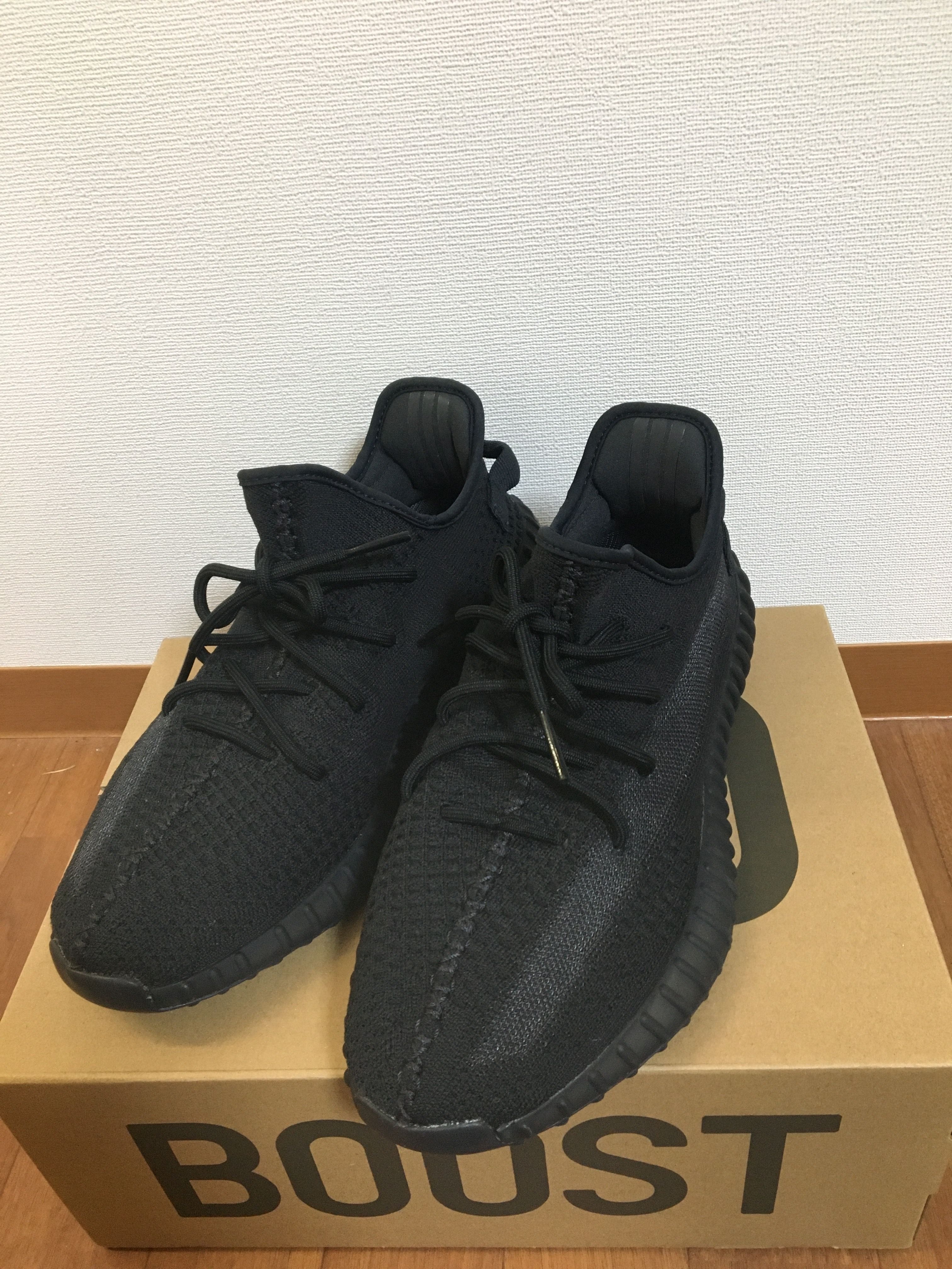 adidas YEEZY Boost 350V2 "Onyx"