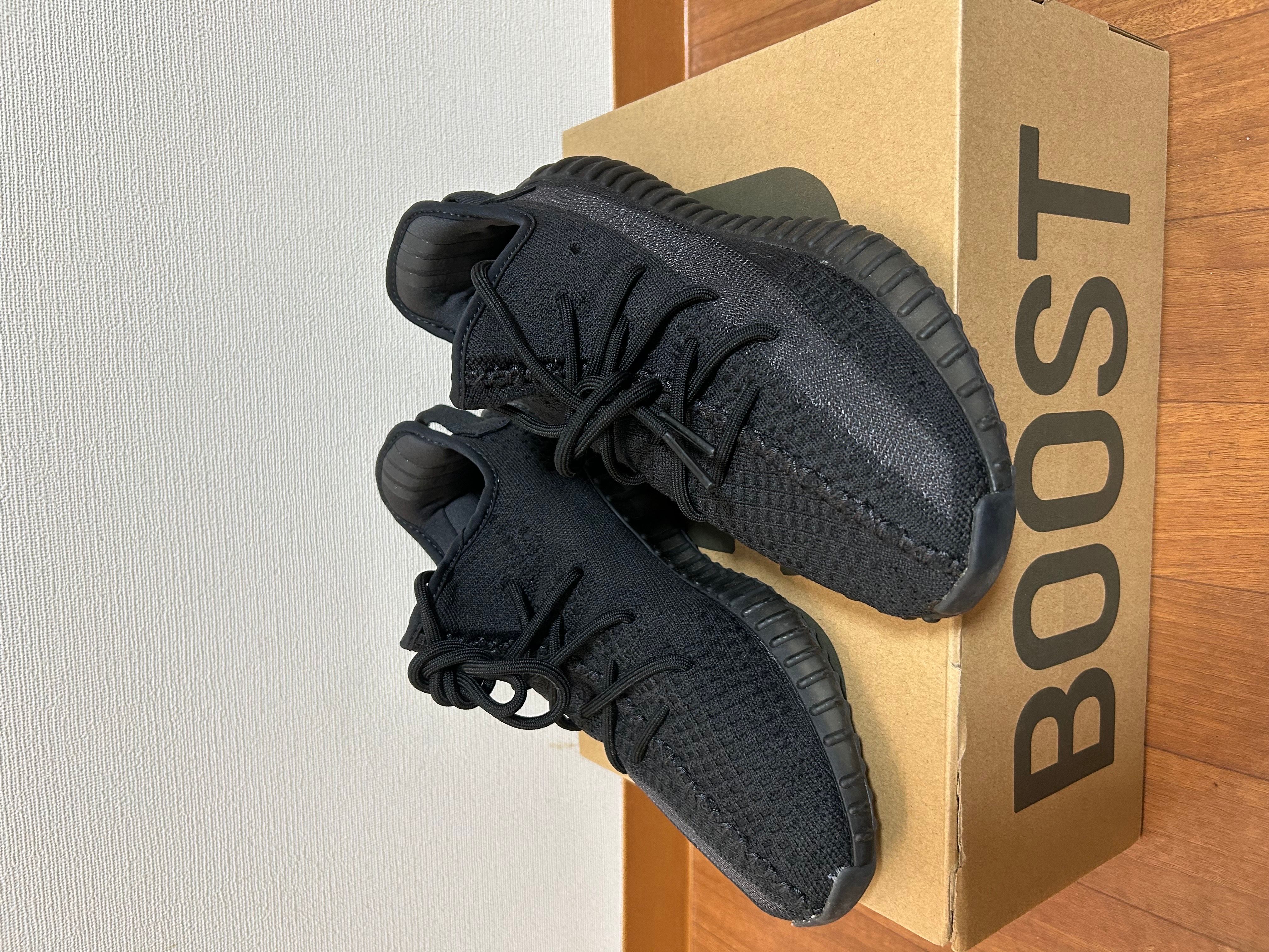 adidas YEEZY Boost 350V2 "Onyx"