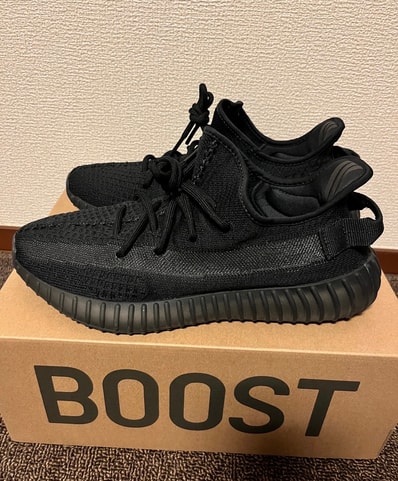 adidas YEEZY Boost 350V2 "Onyx"