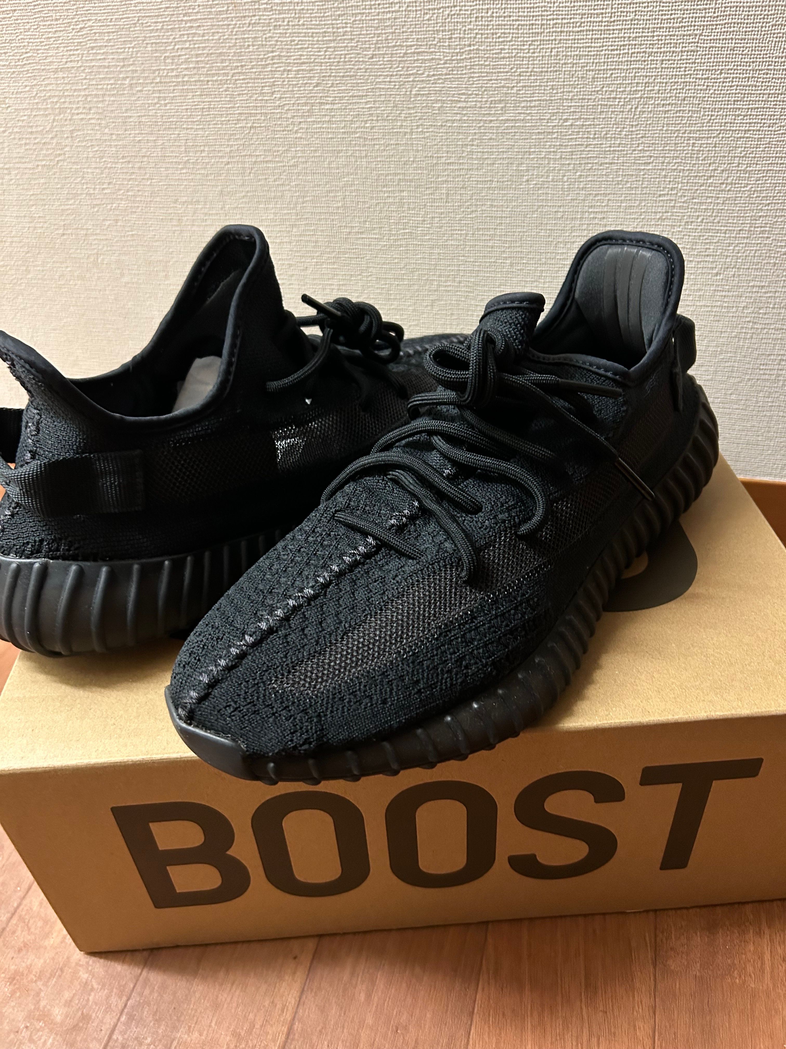 adidas YEEZY Boost 350V2 "Onyx"
