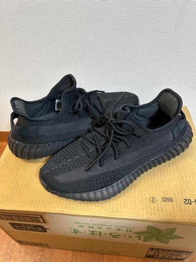 adidas YEEZY Boost 350V2 "Onyx"