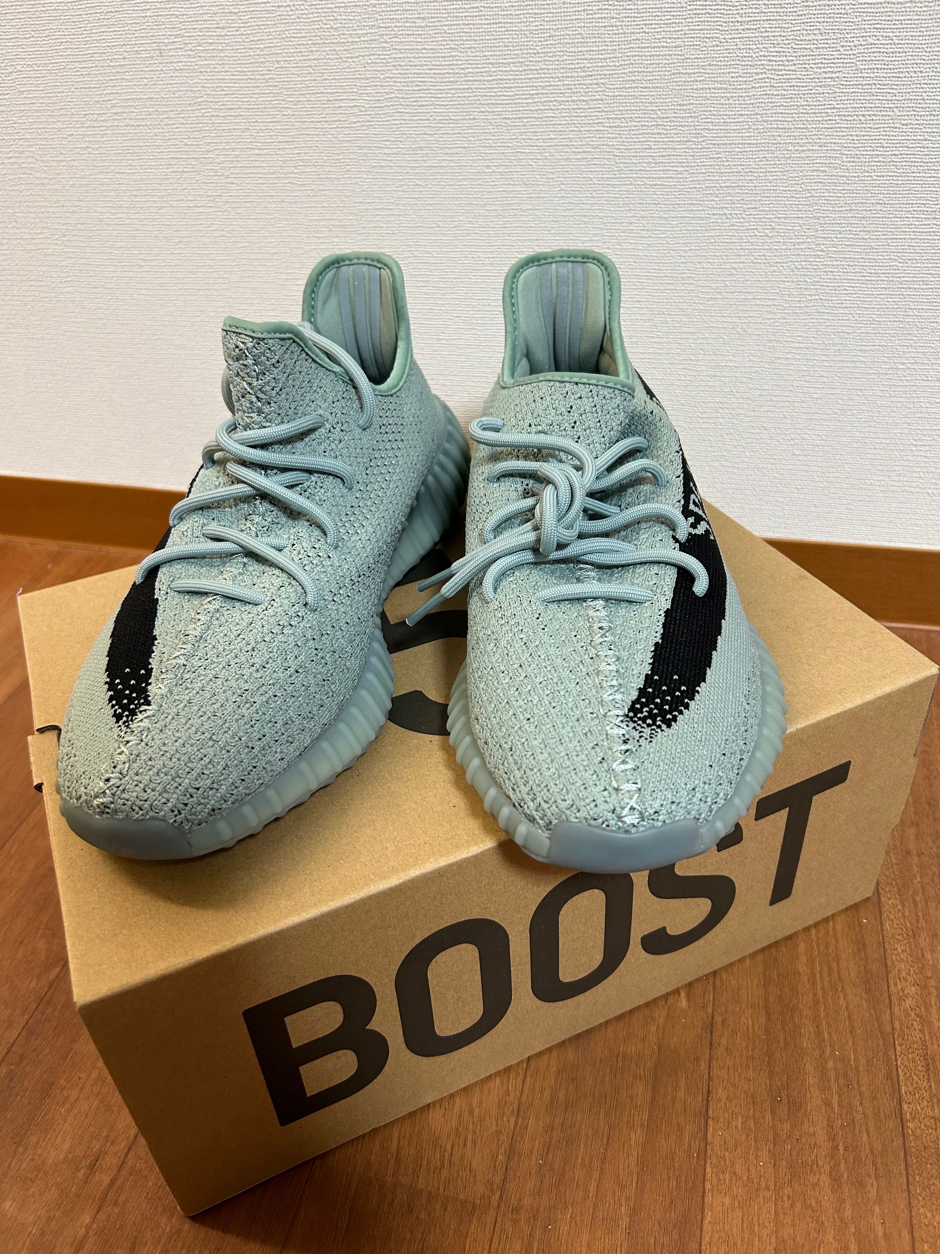 adidas YEEZY Boost 350V2 "Salt/Core Black"