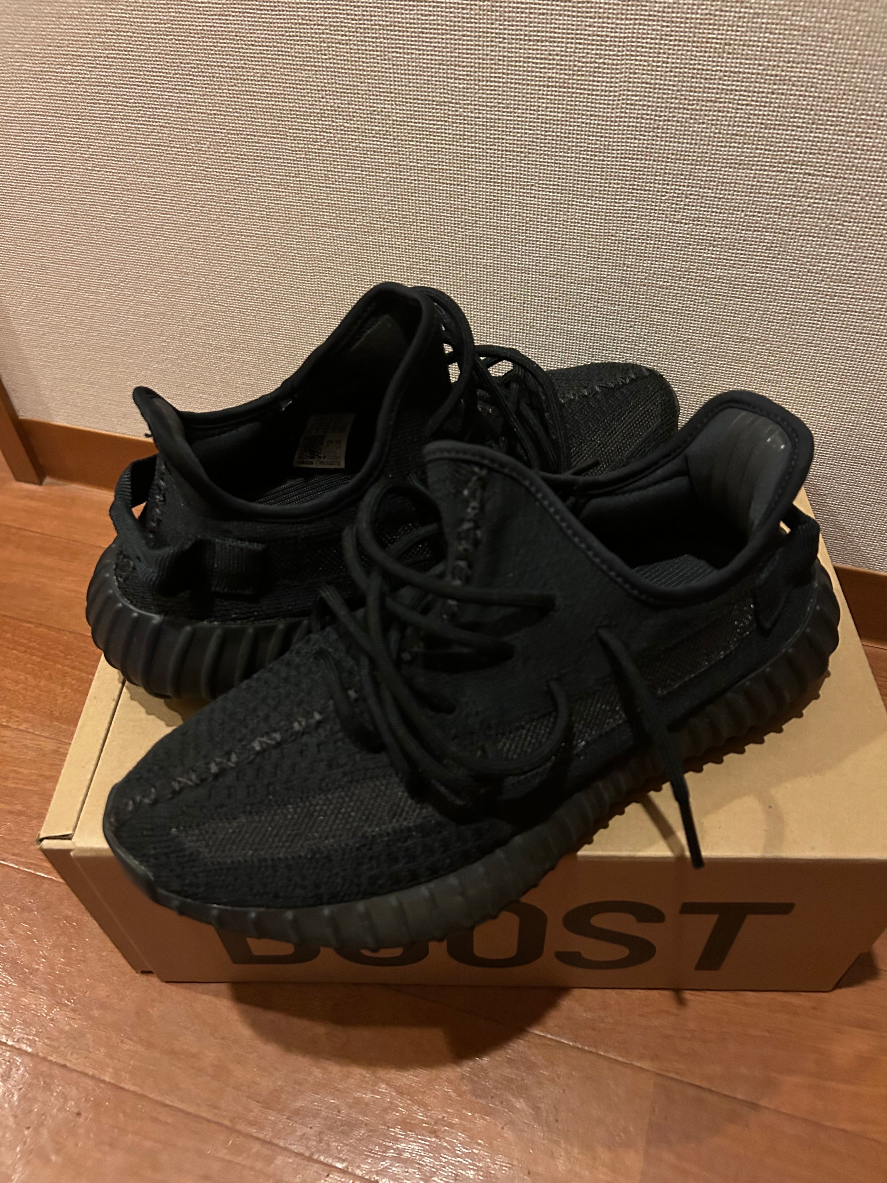 adidas YEEZY Boost 350V2 "Onyx"