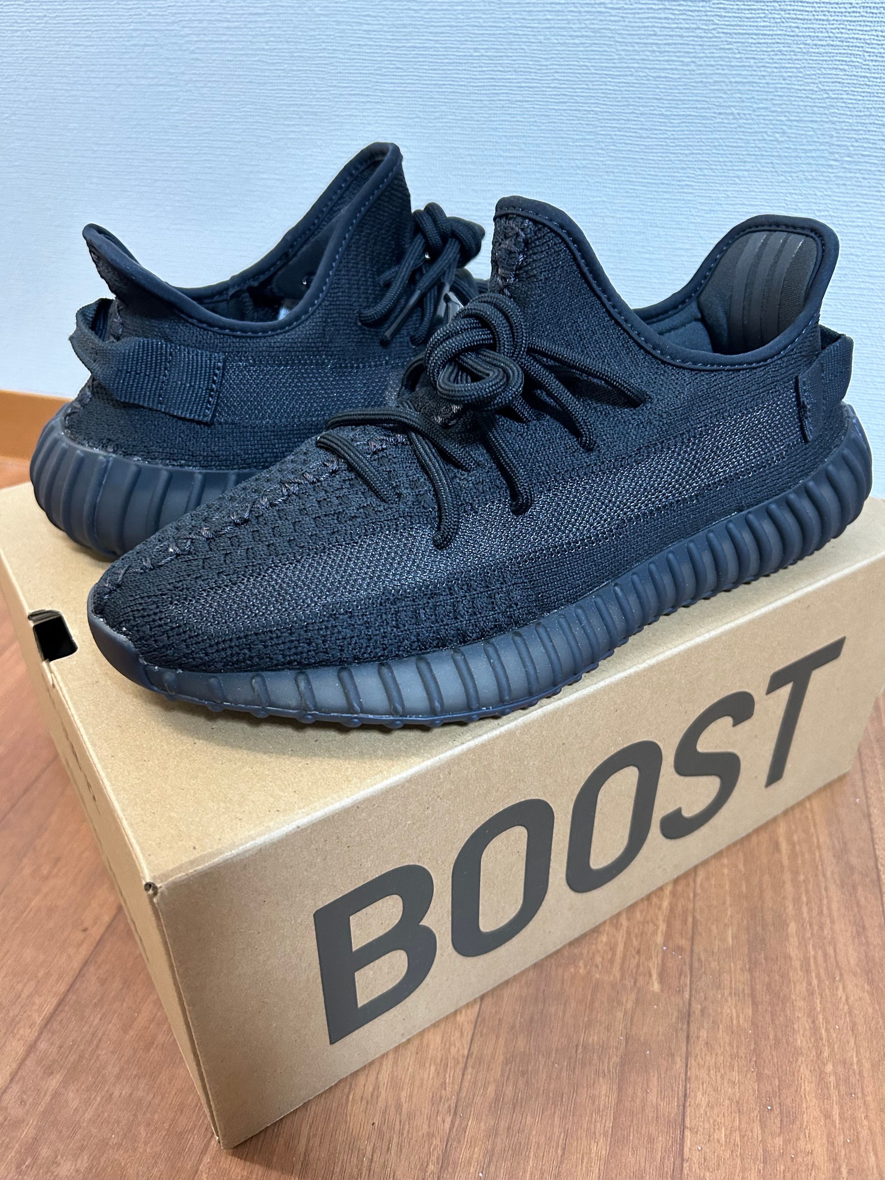 adidas YEEZY Boost 350V2 "Onyx"