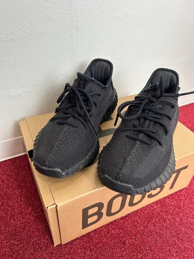 adidas YEEZY Boost 350V2 "Onyx"