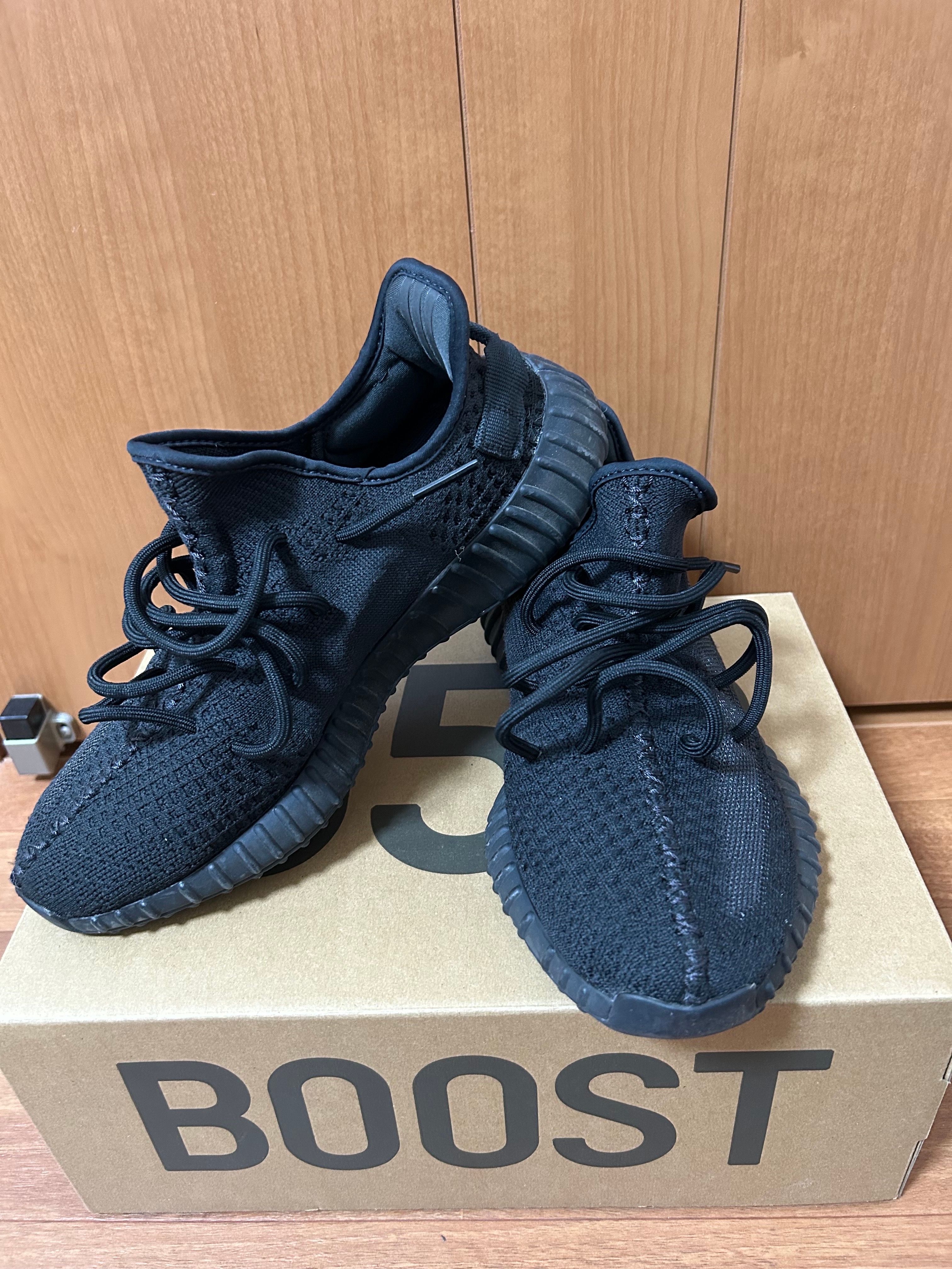 adidas YEEZY Boost 350V2 "Onyx"