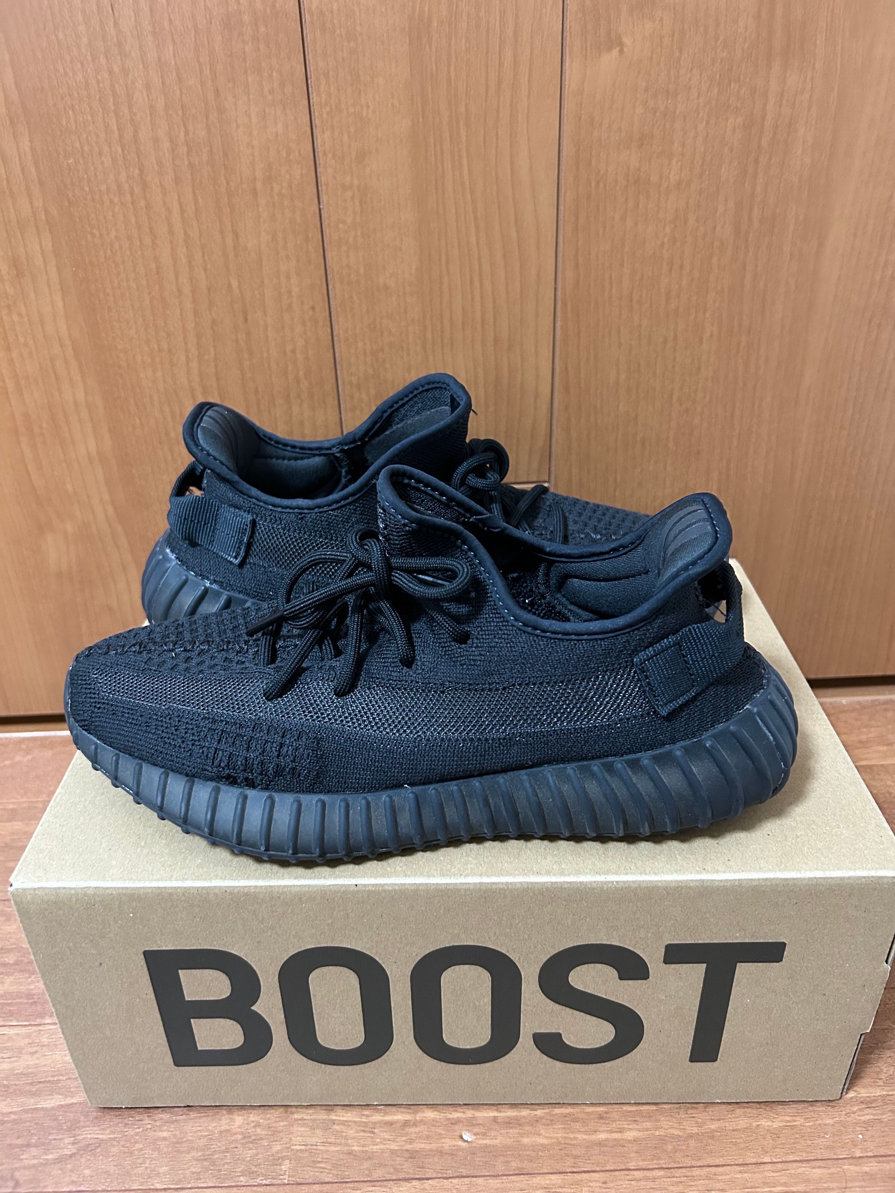 adidas YEEZY Boost 350V2 "Onyx"