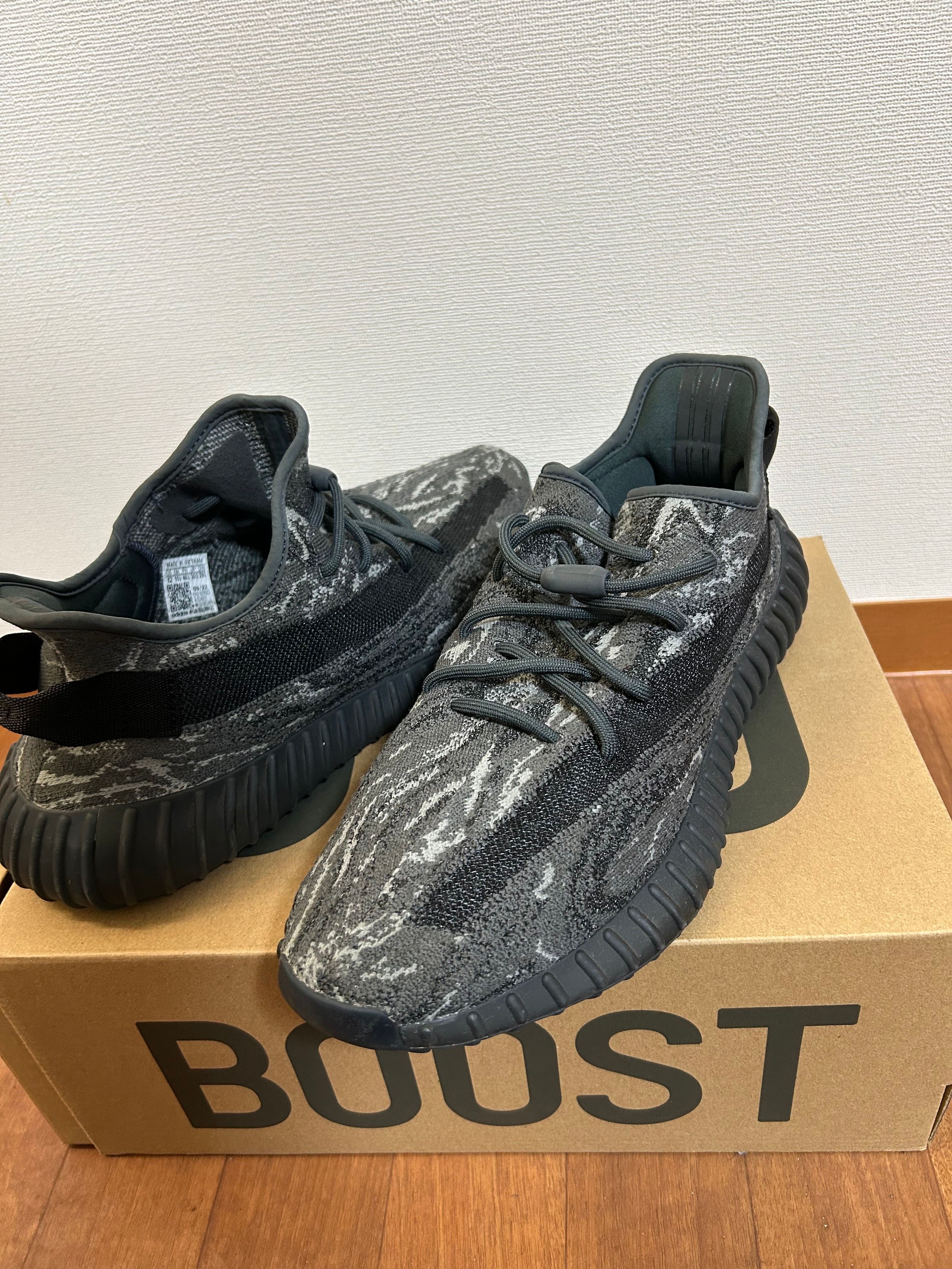 adidas YEEZY Boost 350V2 "Dark Salt"