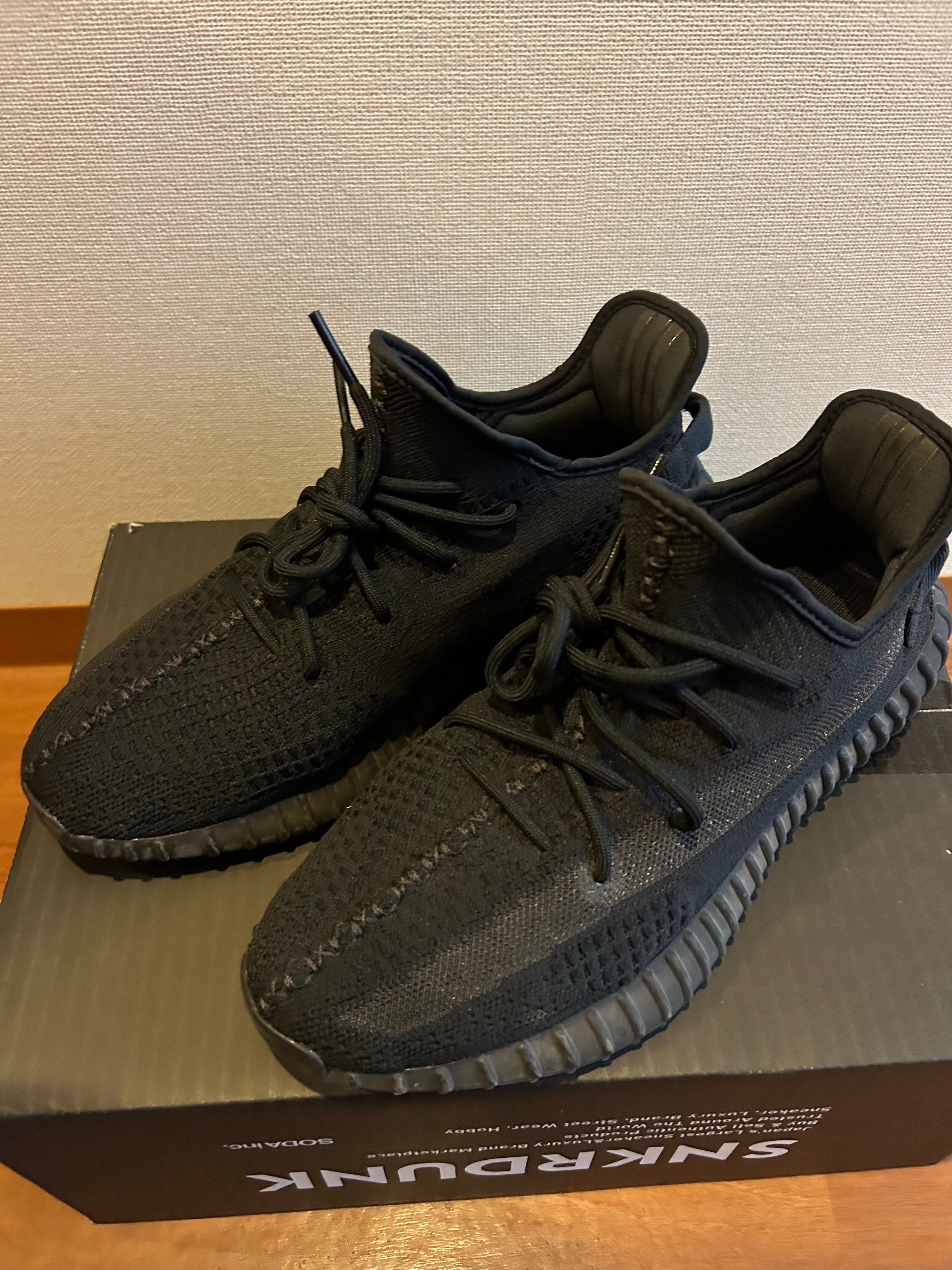 adidas YEEZY Boost 350V2 "Onyx"