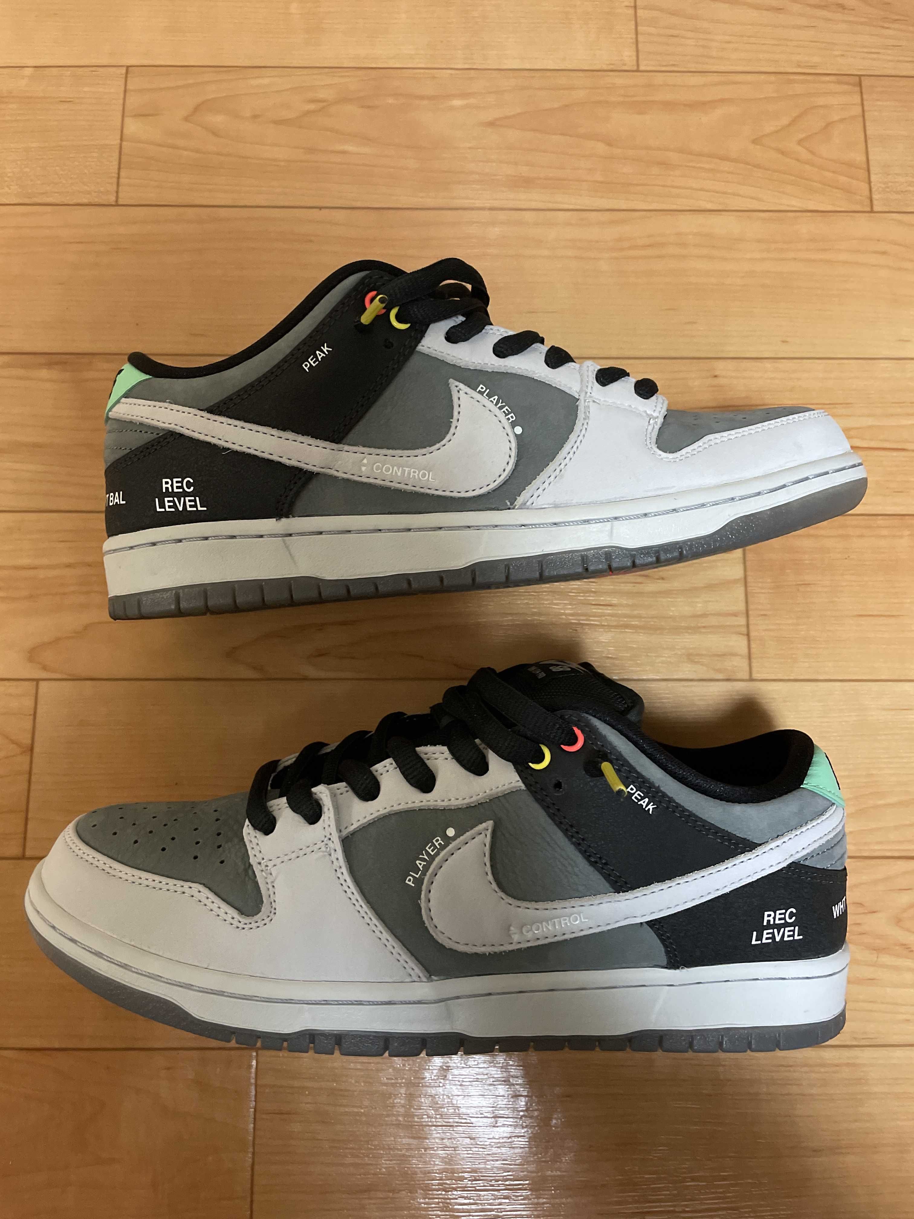 Nike SB Dunk Low Pro "VX1000 Camcorder"