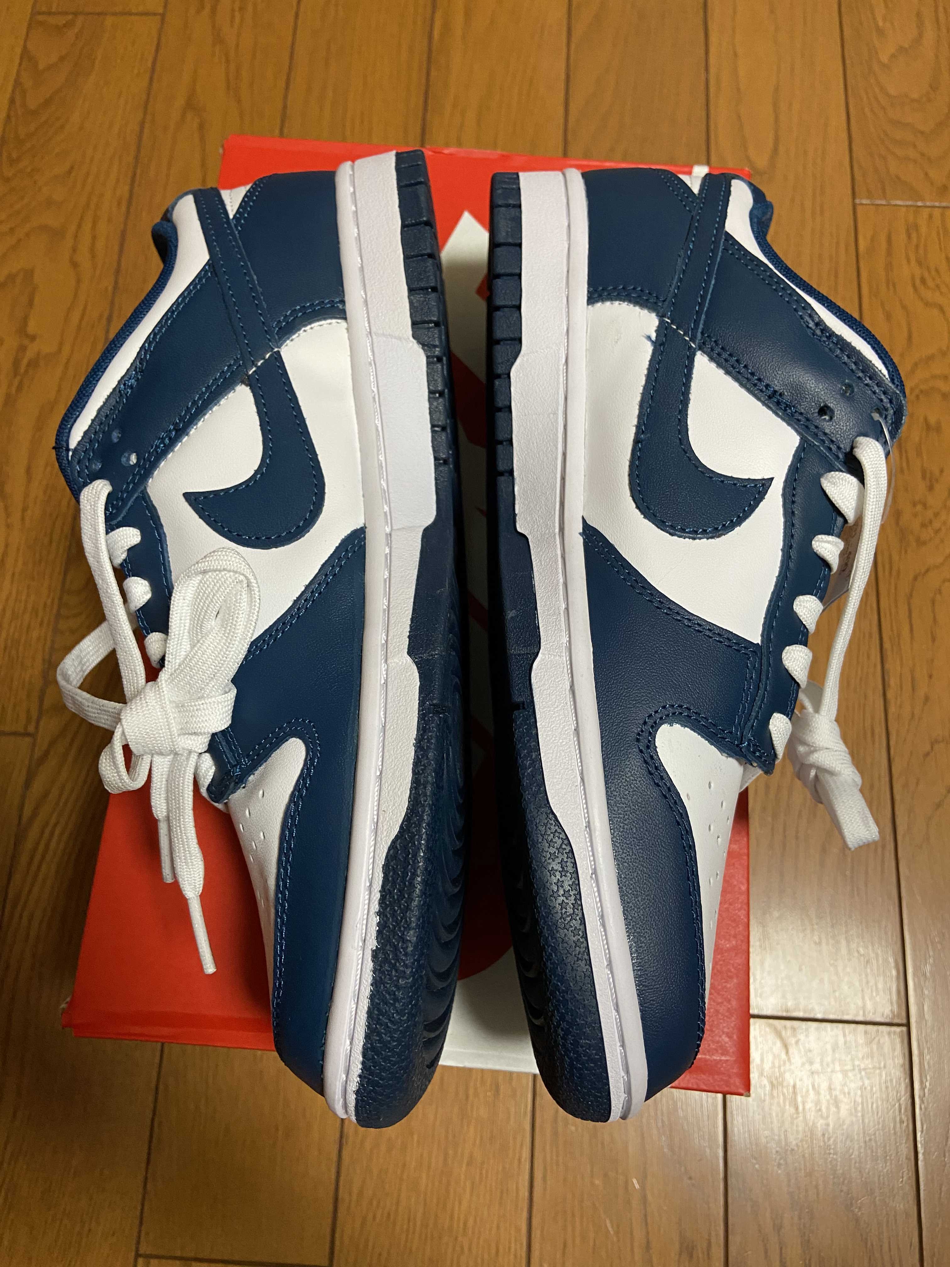 Nike Dunk Low "Valerian Blue"