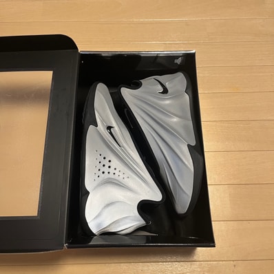 Nike GT Future "Metallic Silver" (FZ5591-002/FZ5590-002)