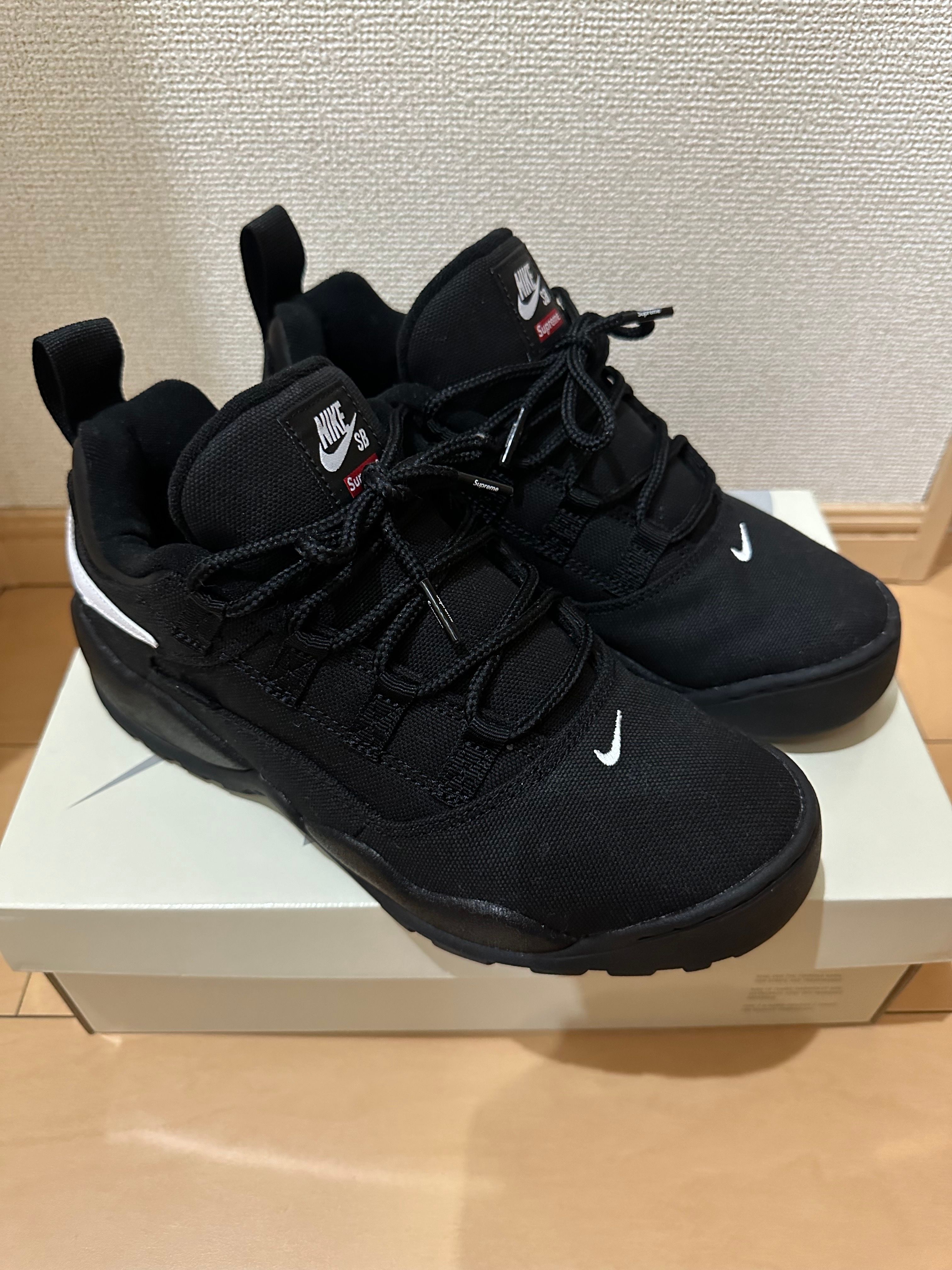 Supreme × Nike SB Darwin Low "Black"