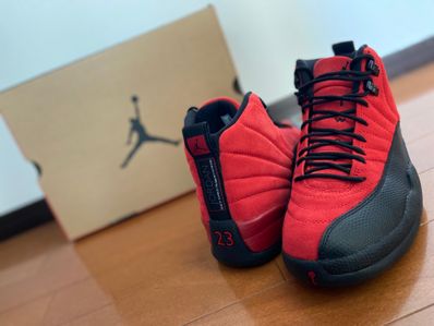 Nike Air Jordan 12 "Reverse Flu Game"
