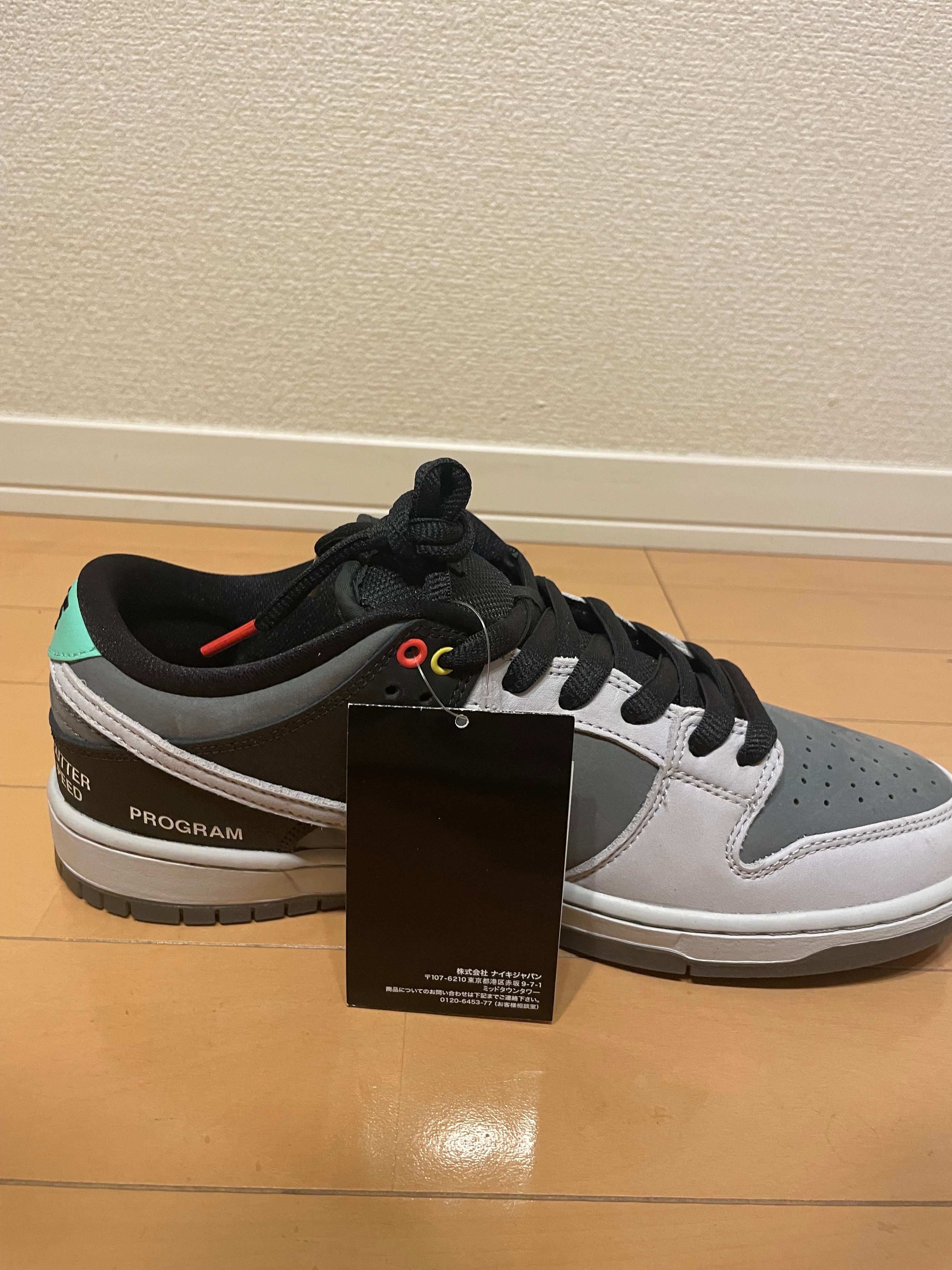 Nike SB Dunk Low Pro "VX1000 Camcorder"