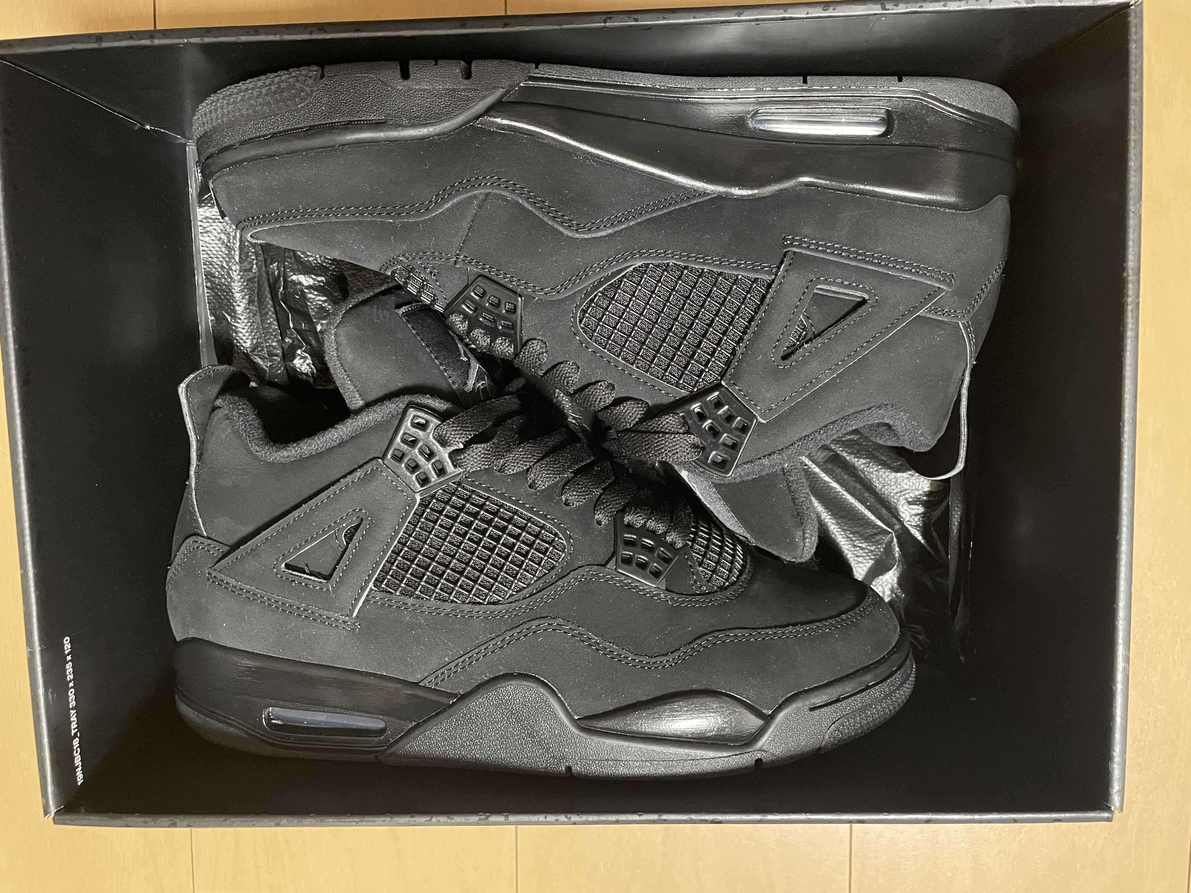 Nike Air Jordan 4 "Black Cat"