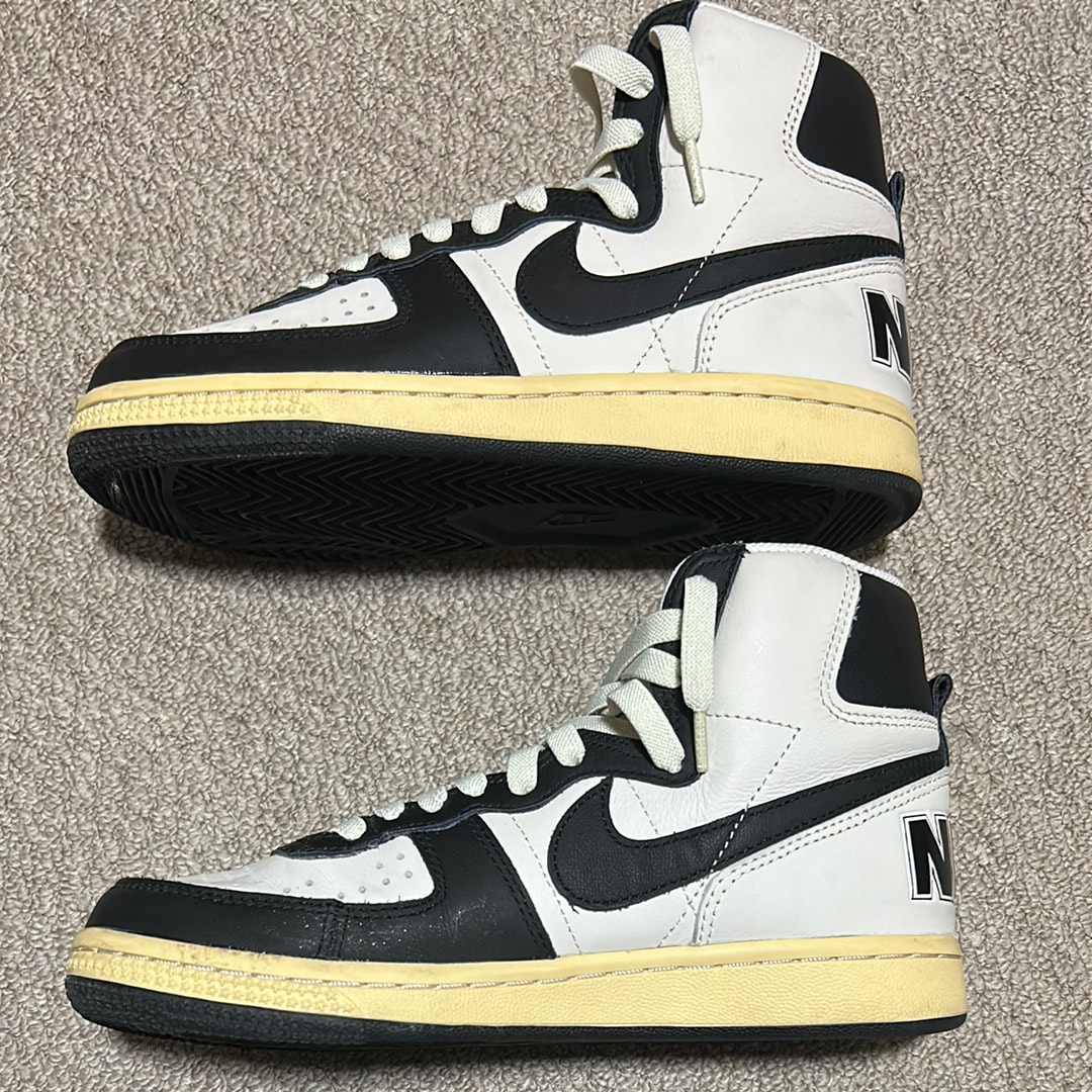 ナイキ ターミネーター ハイ "ブラック アンド ファントム"