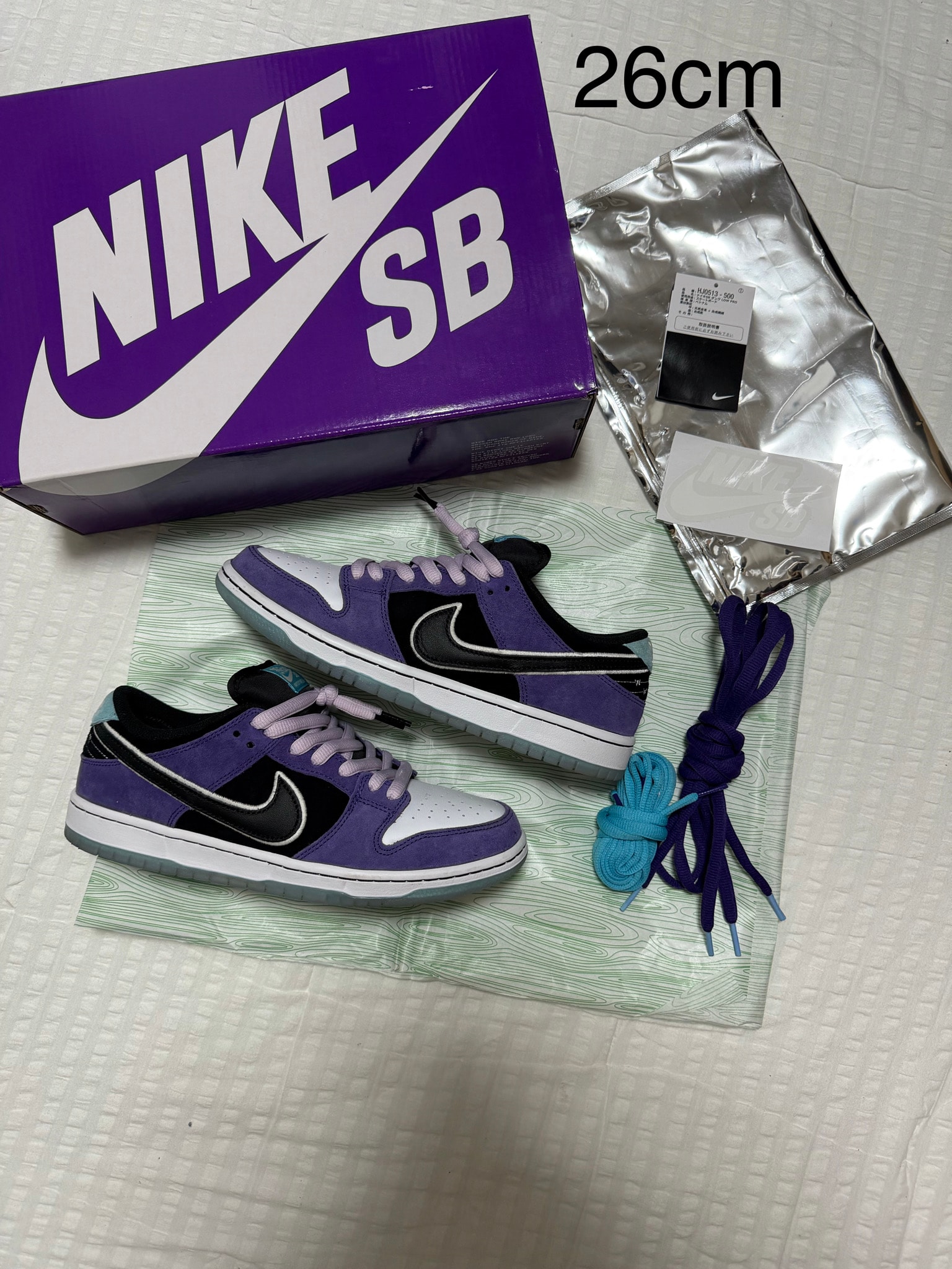 Hayley Wilson × Nike SB Dunk Low Pro "Black and Court Purple"