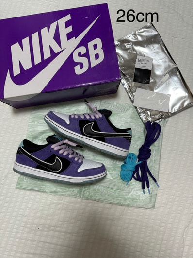 Hayley Wilson × Nike SB Dunk Low Pro "Black and Court Purple"
