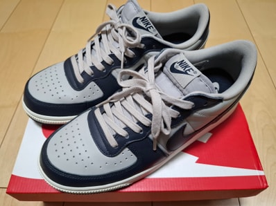 Nike Terminator Low "Dark Obsidian and Granite/Georgetown"(2023)