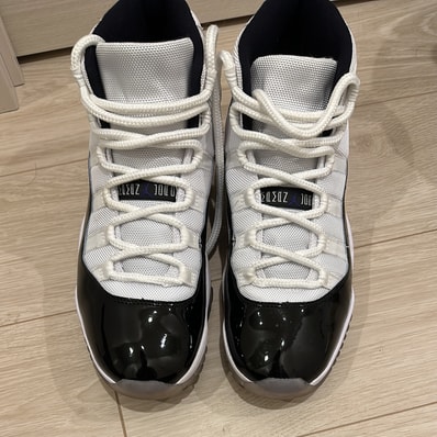 Nike Air Jordan 11 Retro "Concord" (2018)