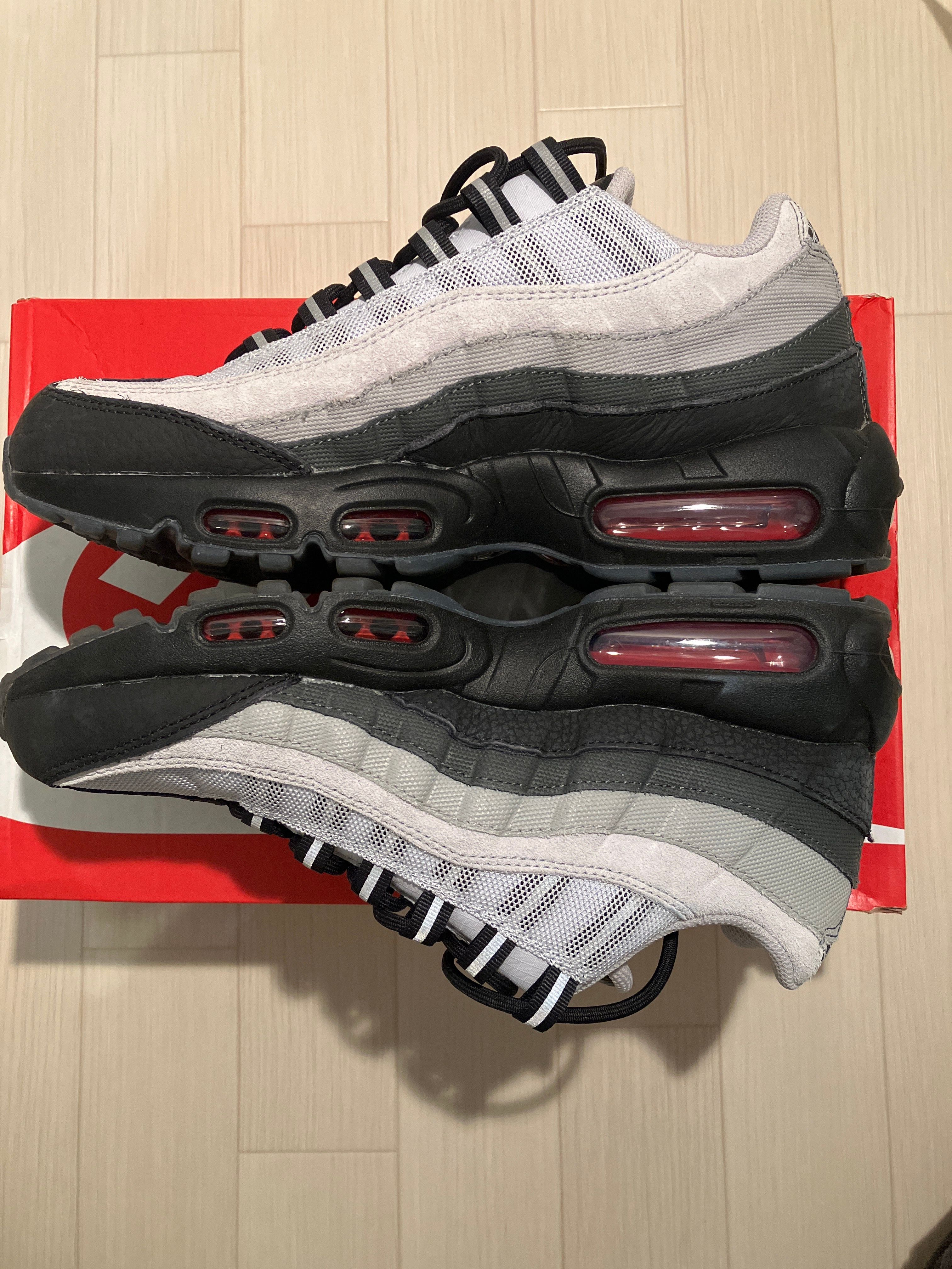 Nike Air Max 95 Koi "Pure Platinum"