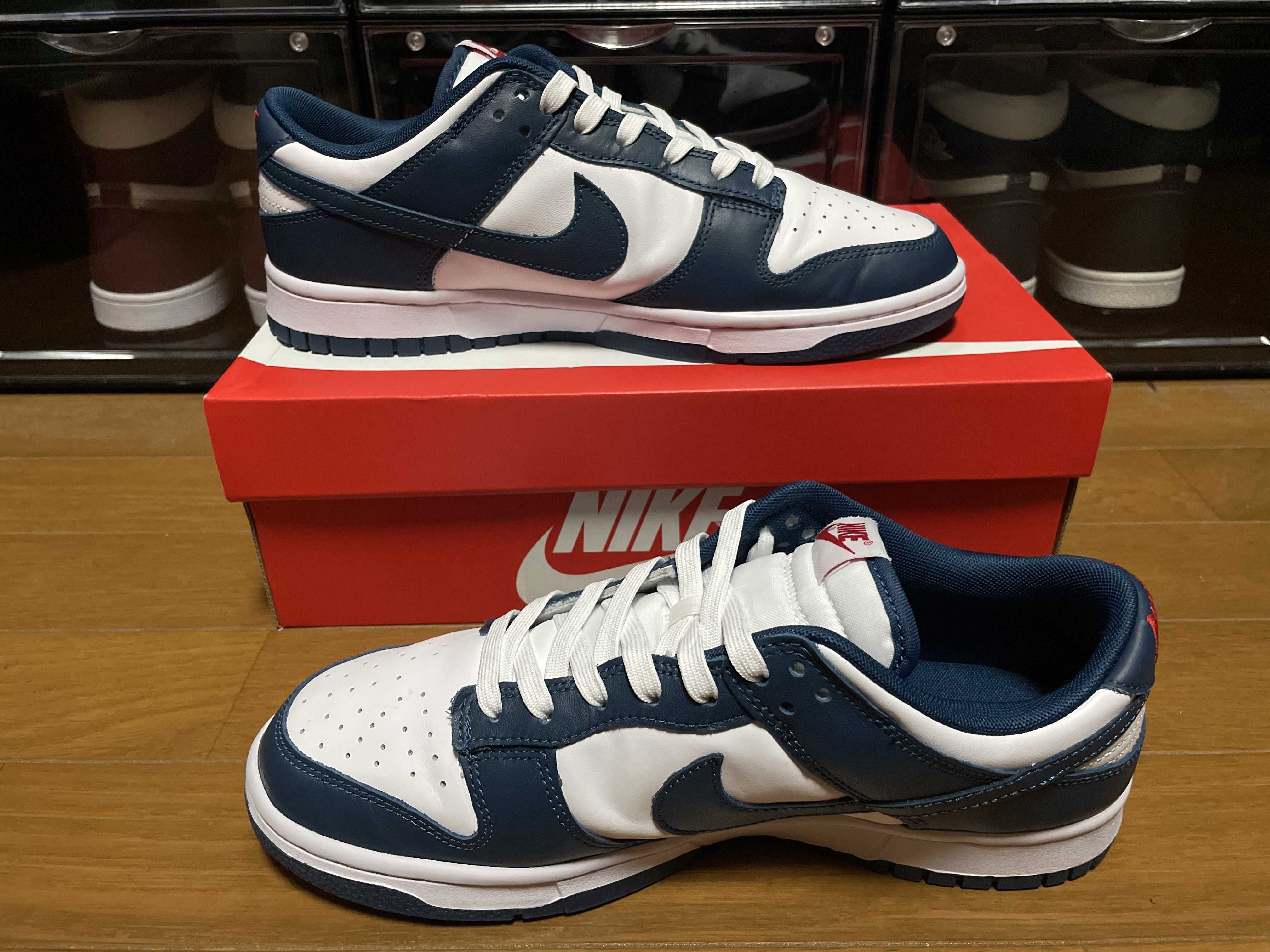 Nike Dunk Low "Valerian Blue"