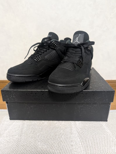 Nike Air Jordan 4 Retro OG "Black Cat" (2025)