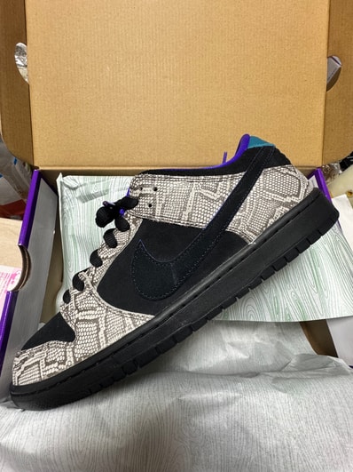 Dashawn Jordan × Nike SB Dunk Low "Copperhead"