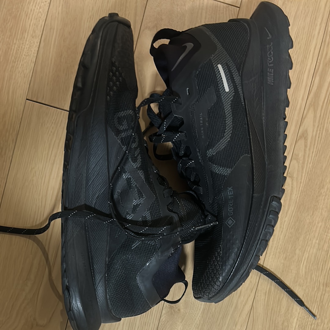 ナイキ リアクト ペガサス トレイル4 ゴアテックス "ブラック/アンスラサイト/ベルベットブラウン"