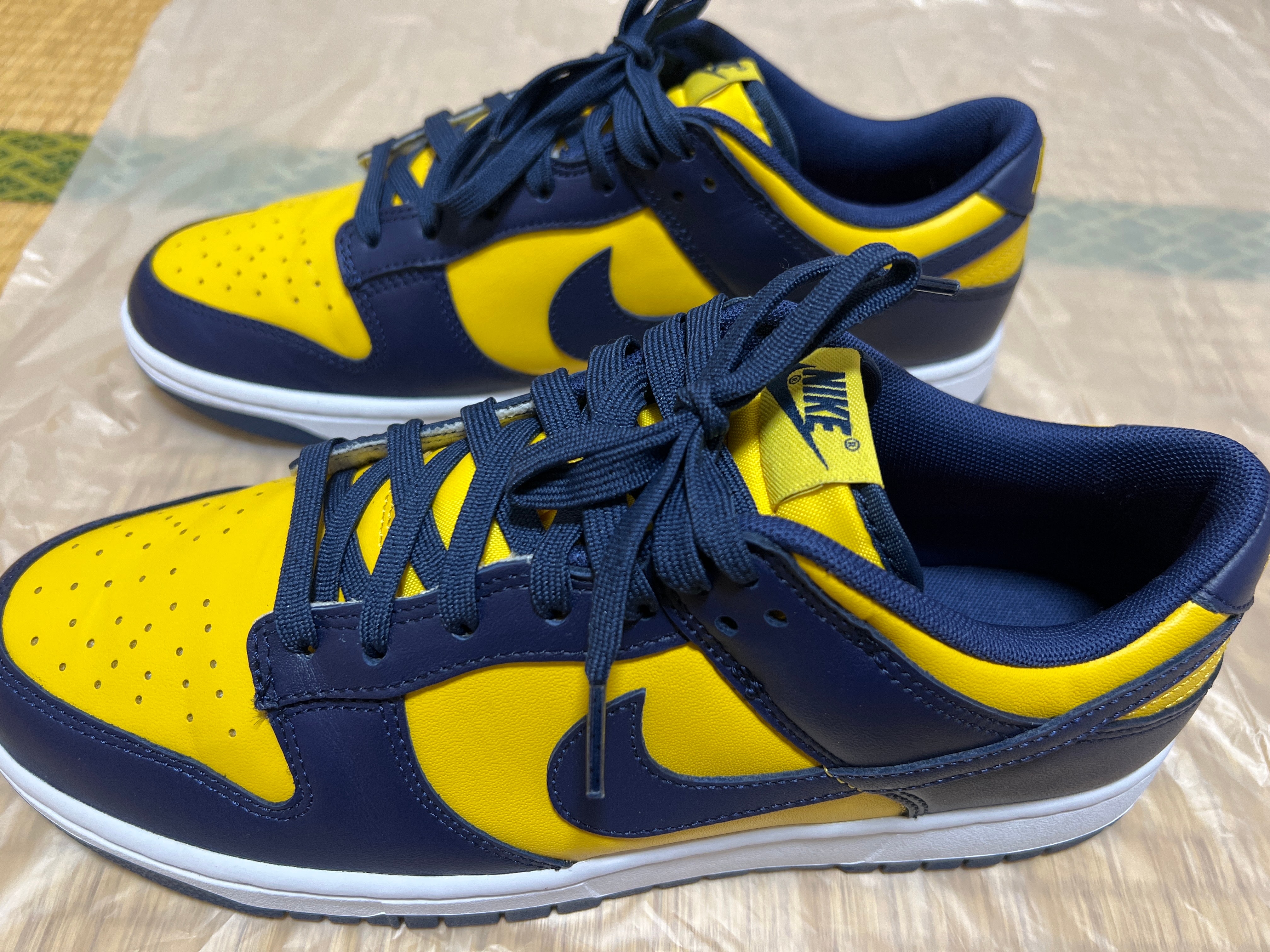 Nike Dunk Low "Michigan"
