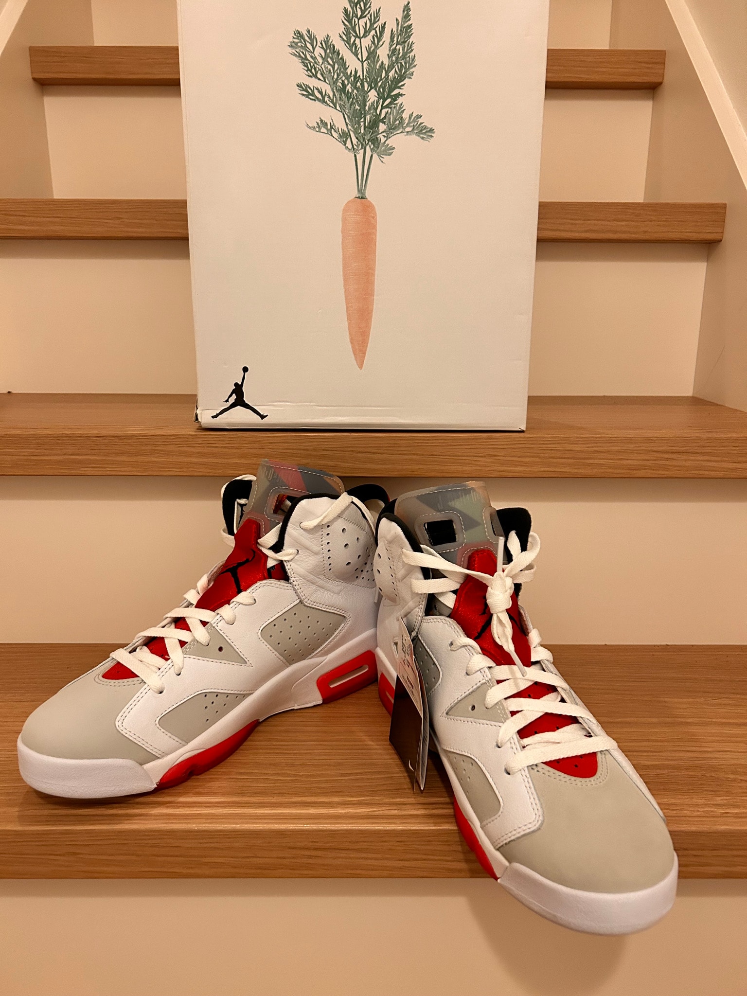 Nike Air Jordan 6 "Neutral Grey/Hare" (CT8529-062/CT9529-062)