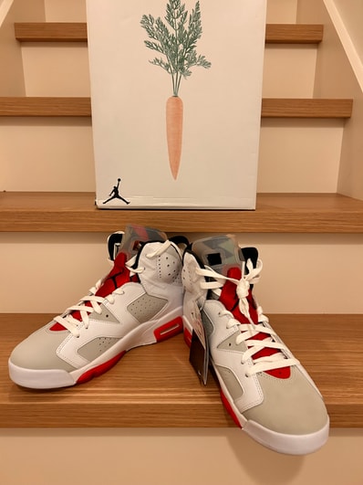 Nike Air Jordan 6 "Neutral Grey/Hare" (CT8529-062/CT9529-062)