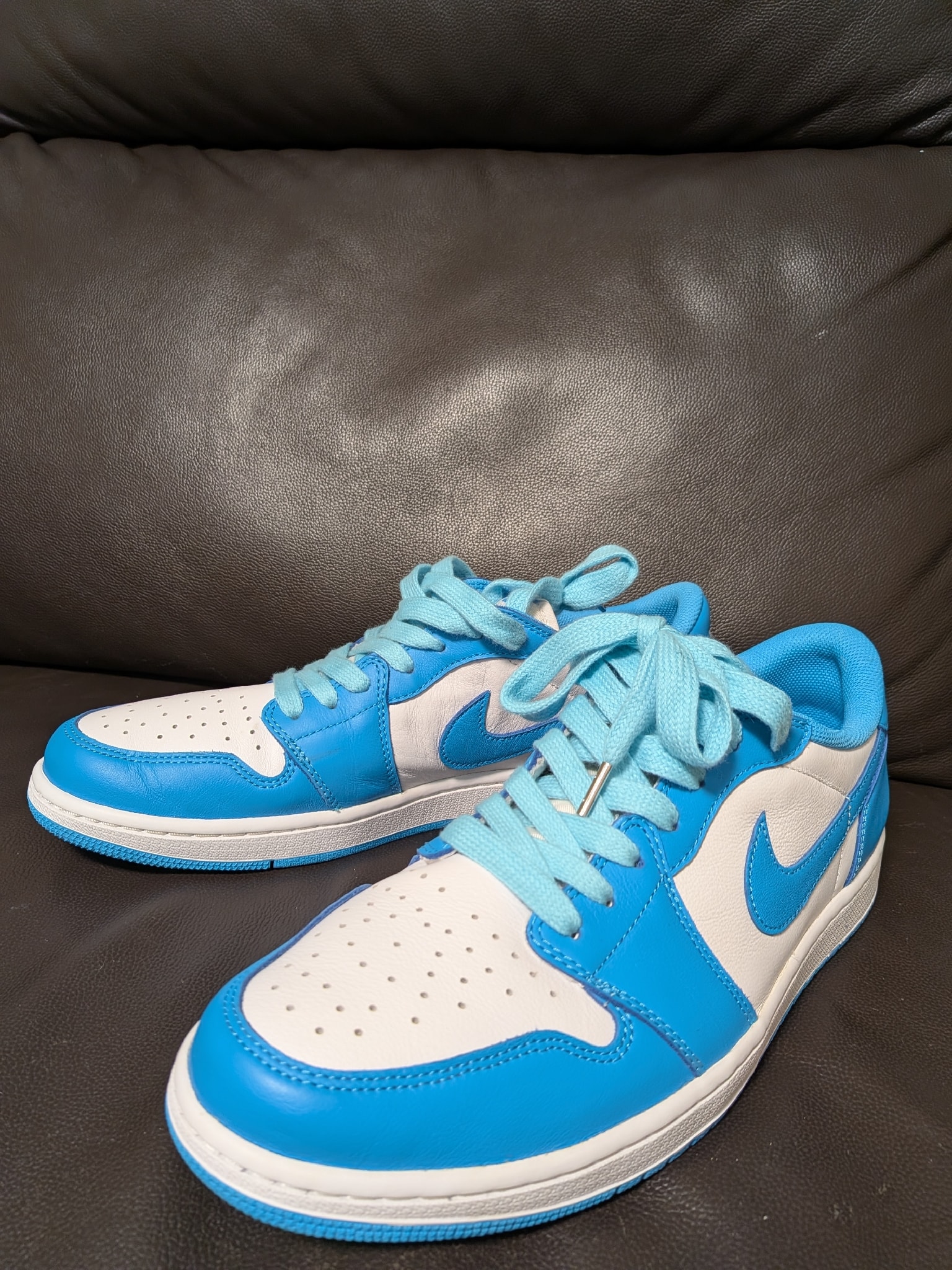 Nike SB Air Jordan 1 Low "UNC"