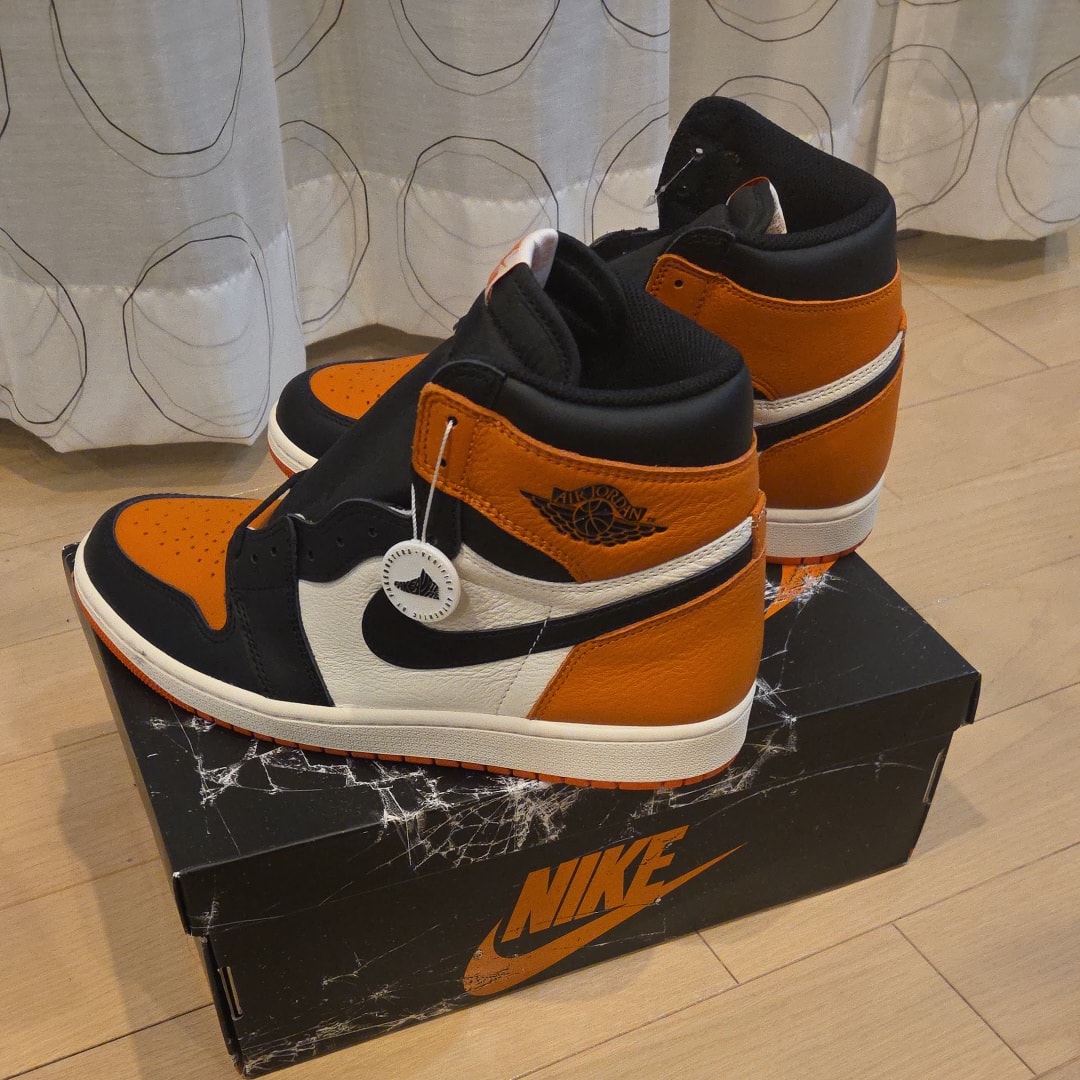 Nike Air Jordan 1 Retro High OG "Shattered Backboard" (2025)