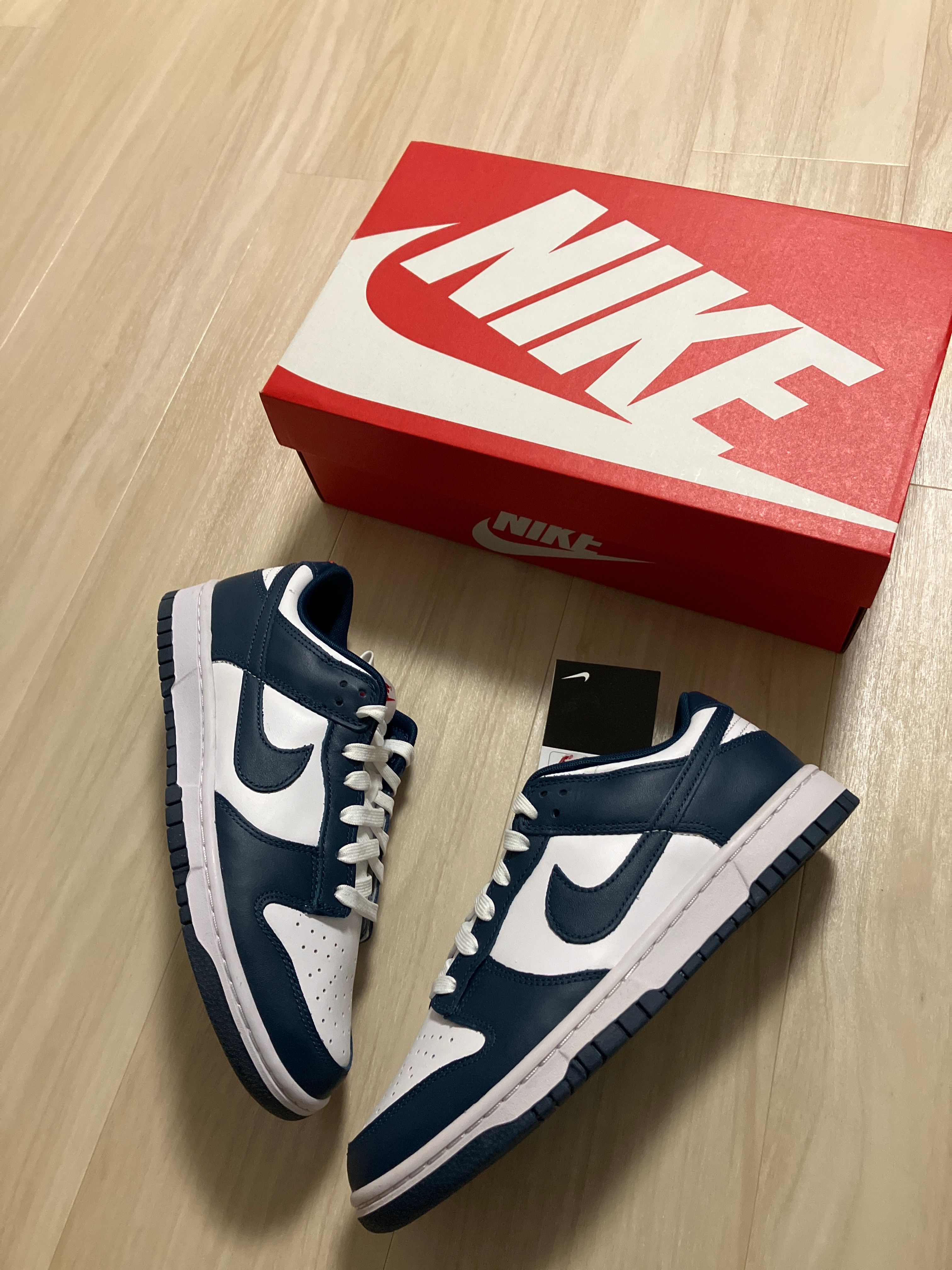 Nike Dunk Low "Valerian Blue"