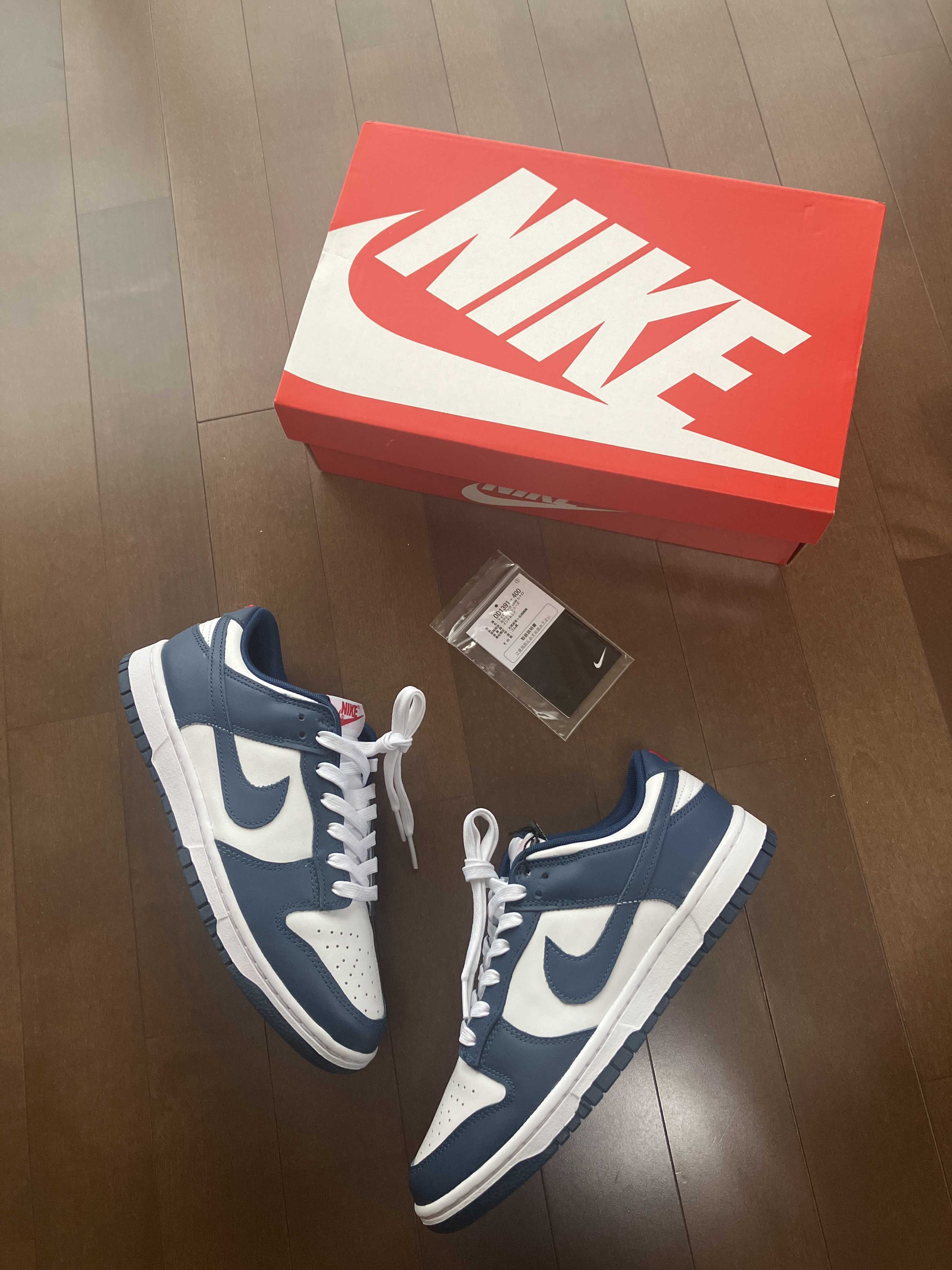 Nike Dunk Low "Valerian Blue"