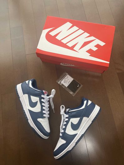 Nike Dunk Low "Valerian Blue"