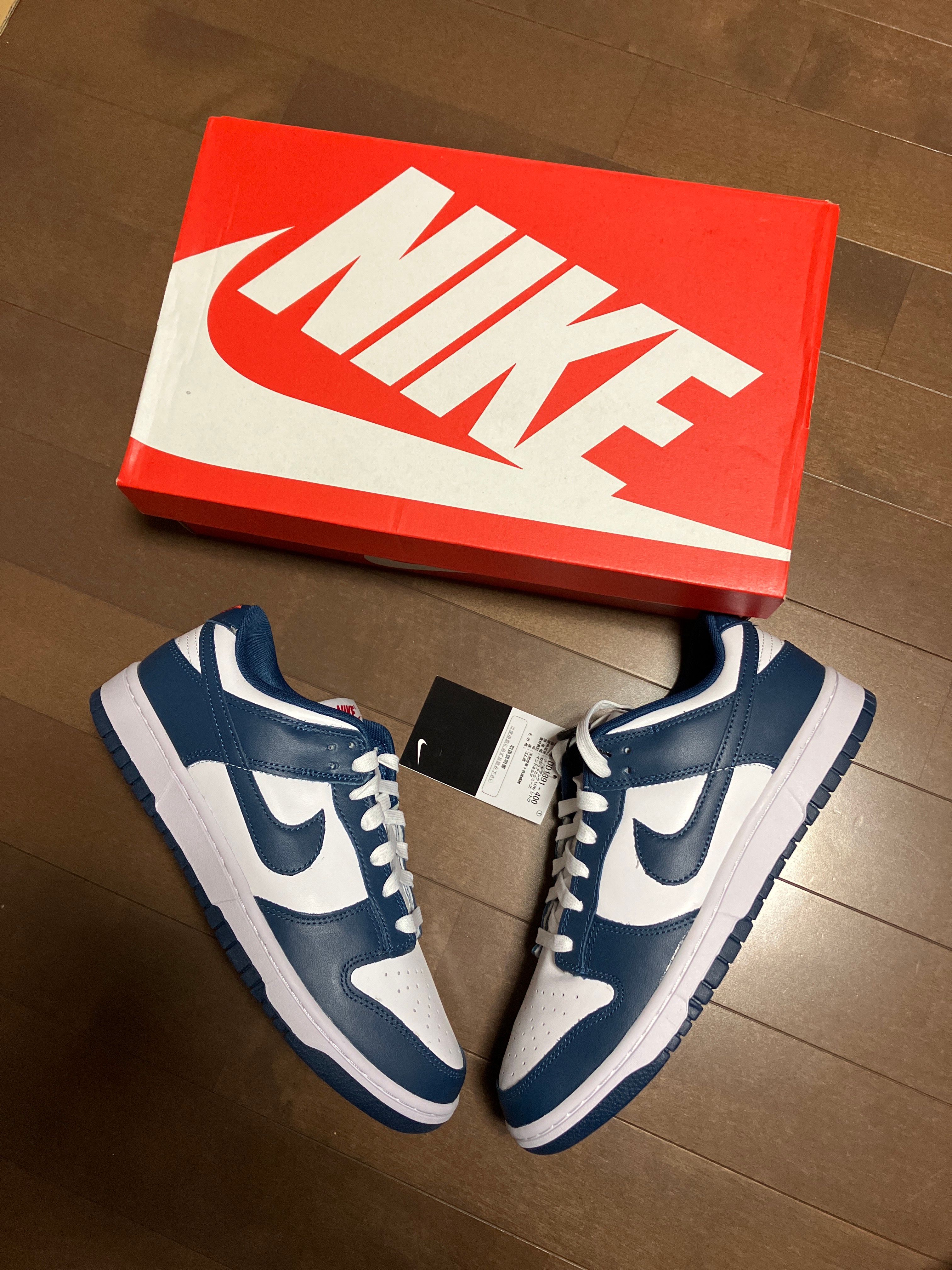 Nike Dunk Low "Valerian Blue"