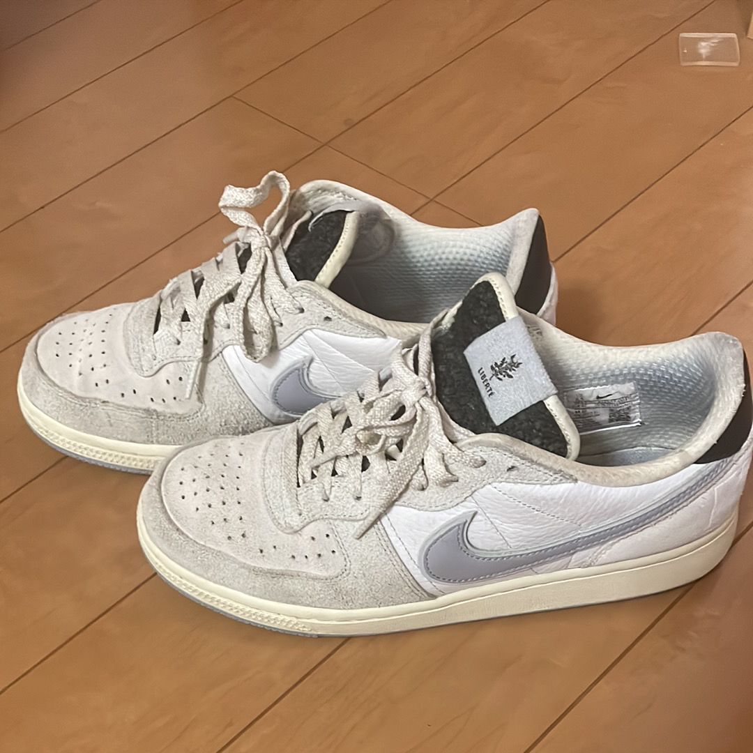 Nike Terminator Low "Liberté"