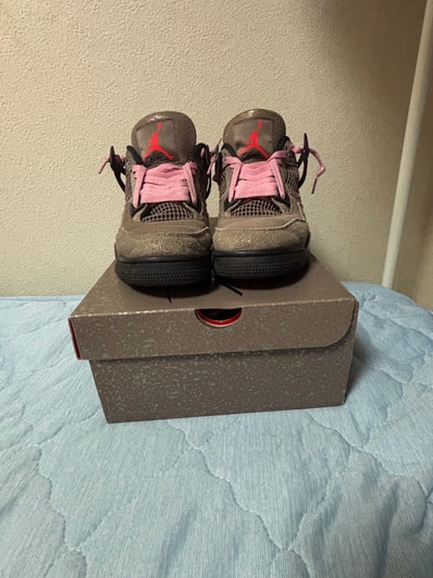 Nike Air Jordan 4 "Taupe Haze"