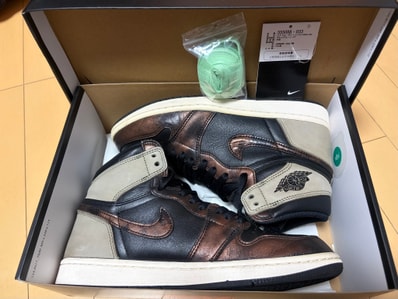 Nike Air Jordan 1 High OG "Rust Shadow"