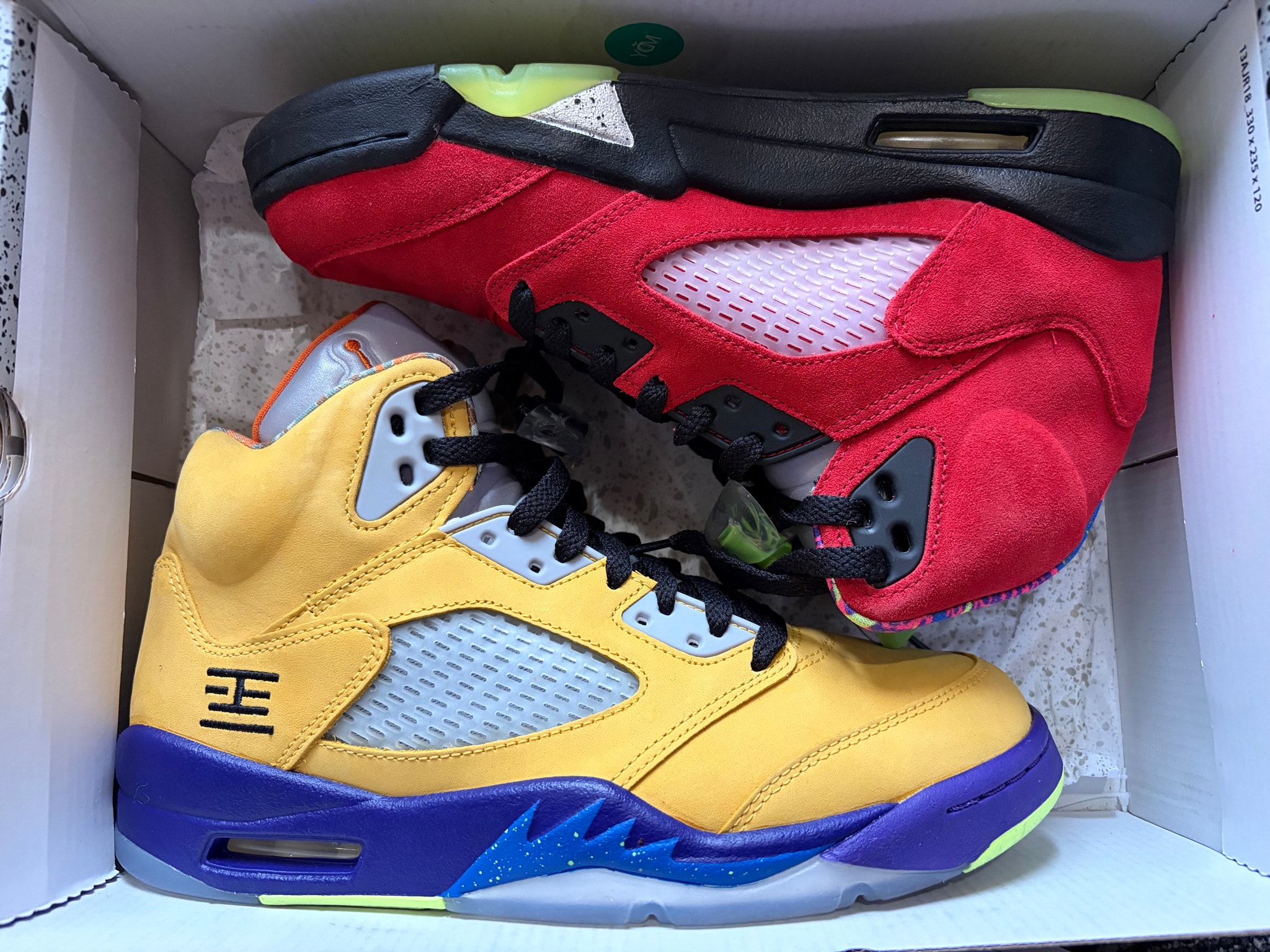 Nike Air Jordan 5 "What The"