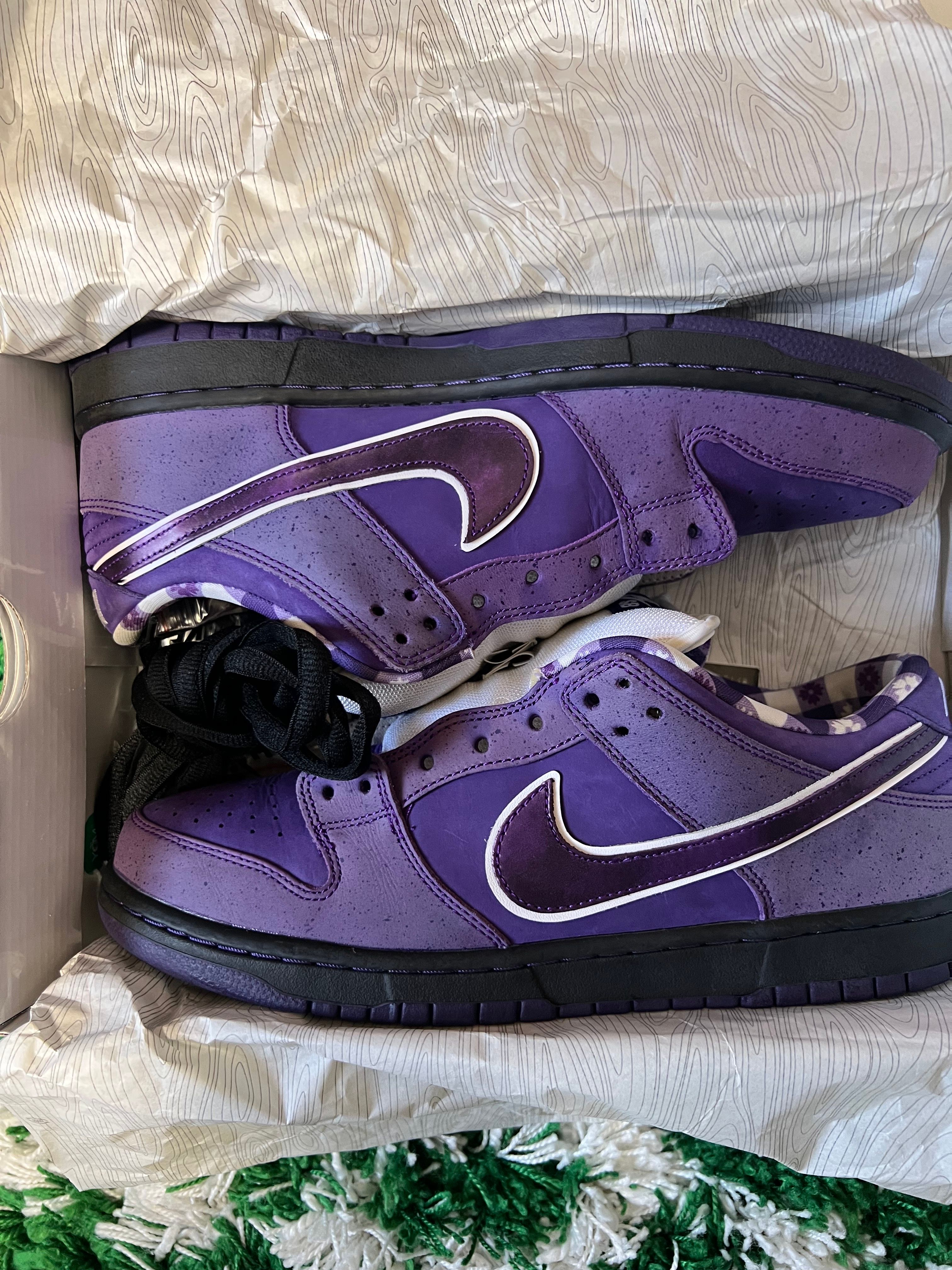 Concepts × Nike SB Dunk Low "Purple Lobster"