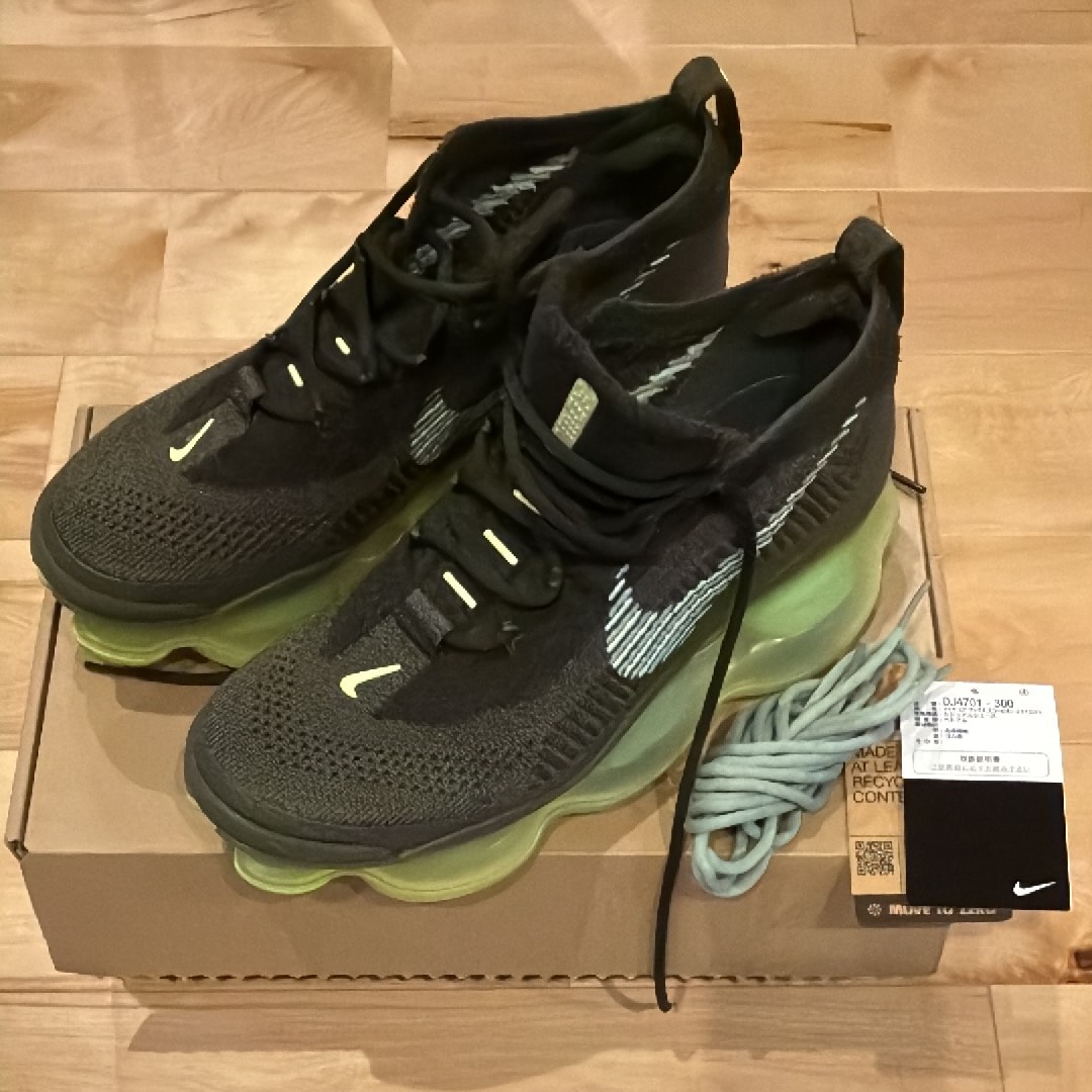 ナイキ エアマックス スコーピオン "ベアリー ボルト"