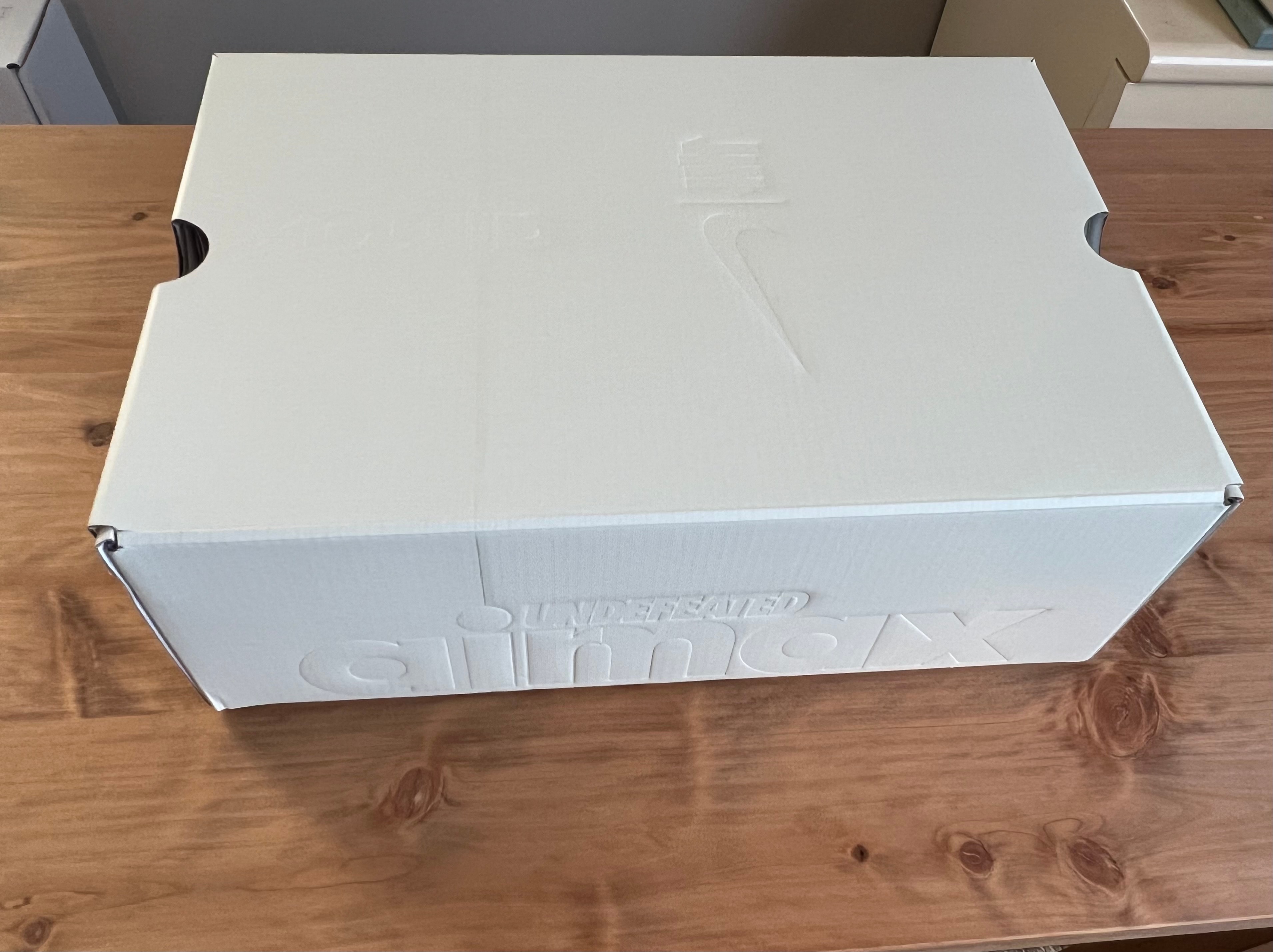 アンディフィーテッド × ナイキ エアマックス95 SP "セイル"