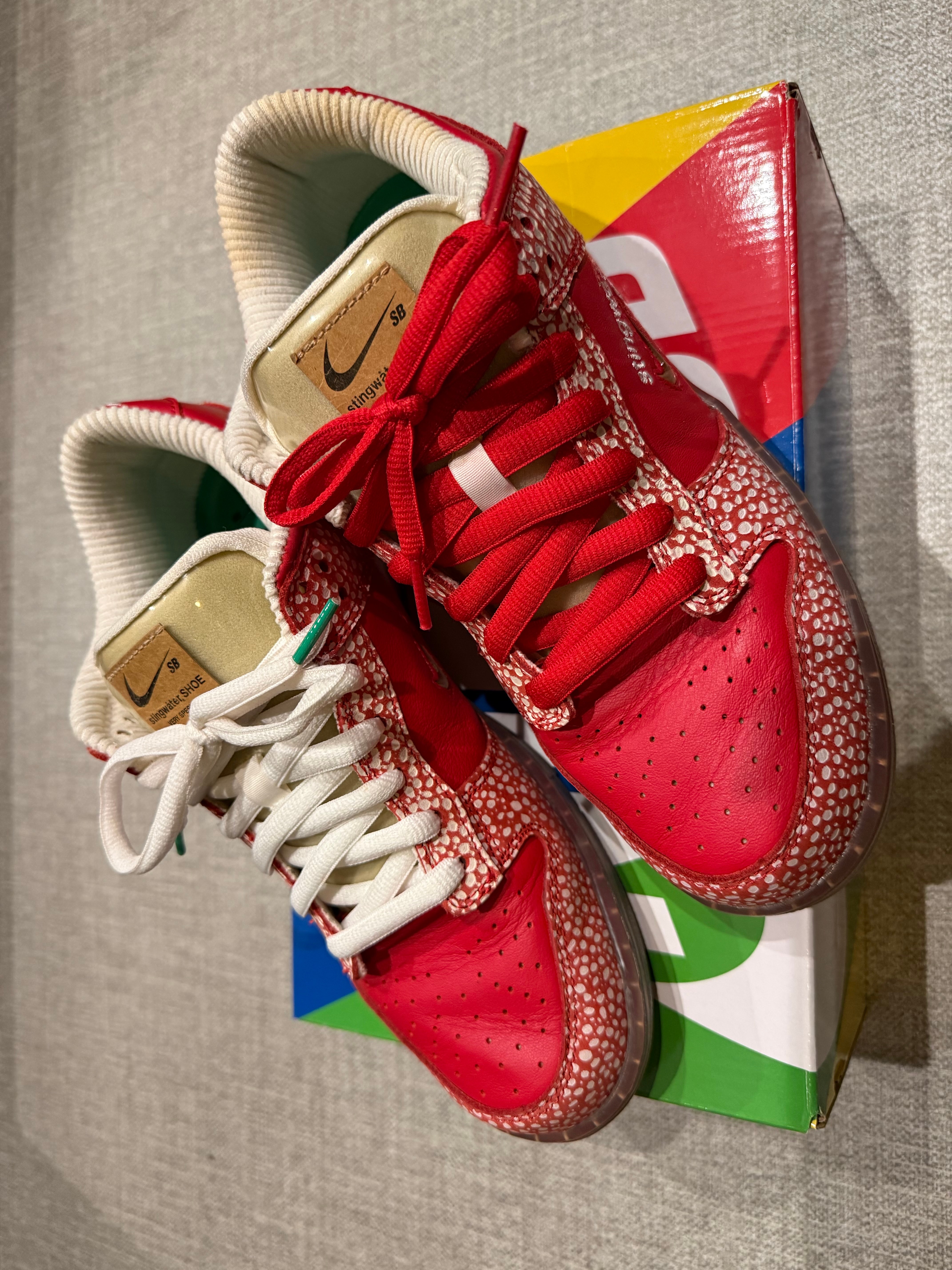 Stingwater × Nike SB Dunk Low "Magic Mushroom"