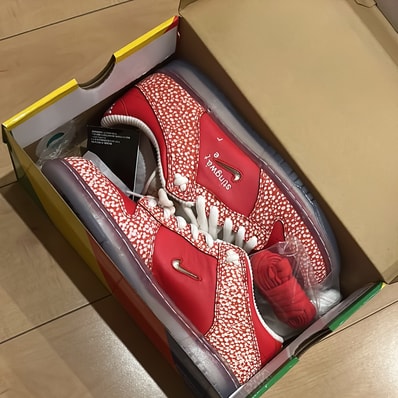 Stingwater × Nike SB Dunk Low "Magic Mushroom"