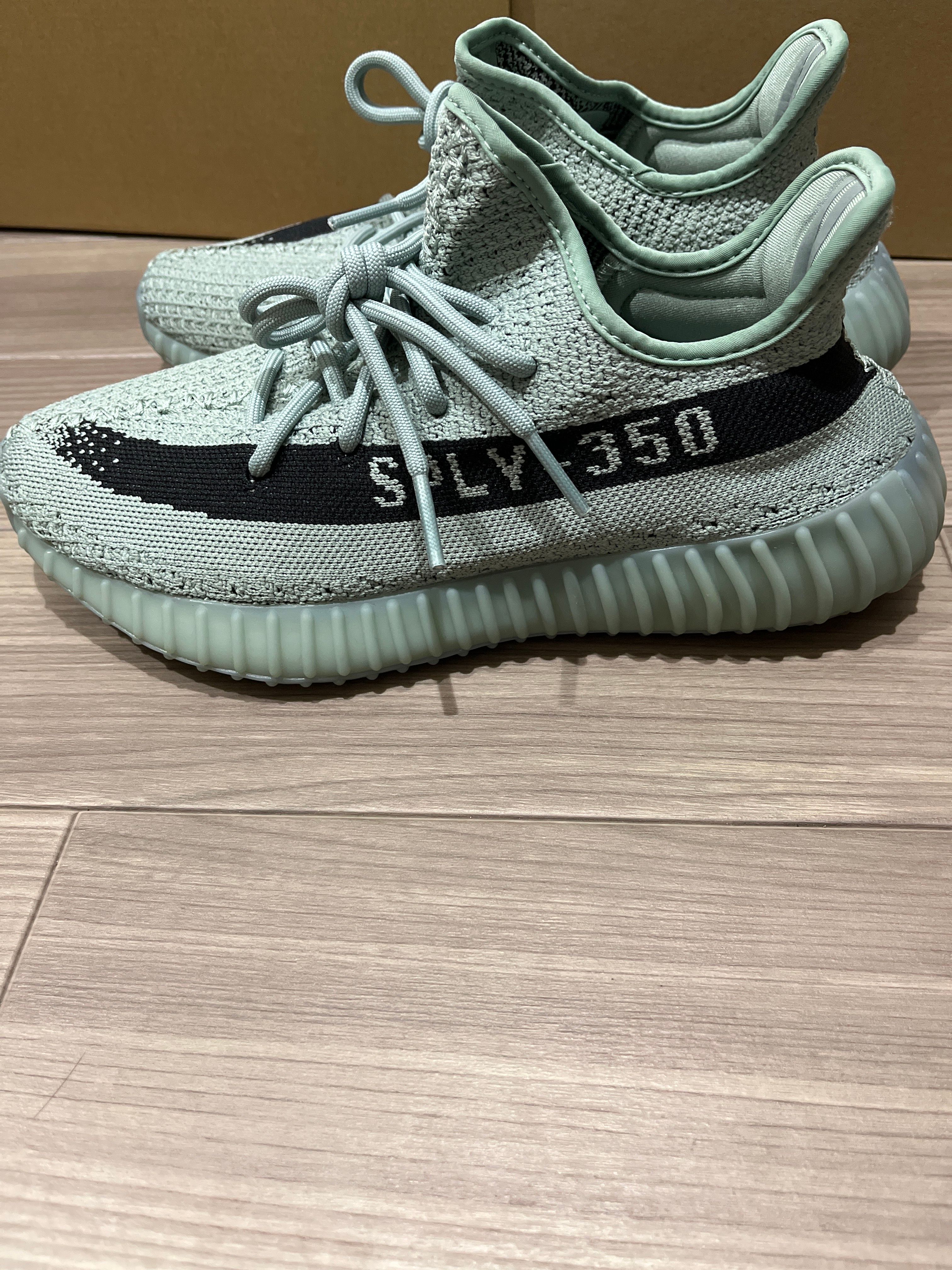 adidas YEEZY Boost 350V2 "Salt/Core Black"