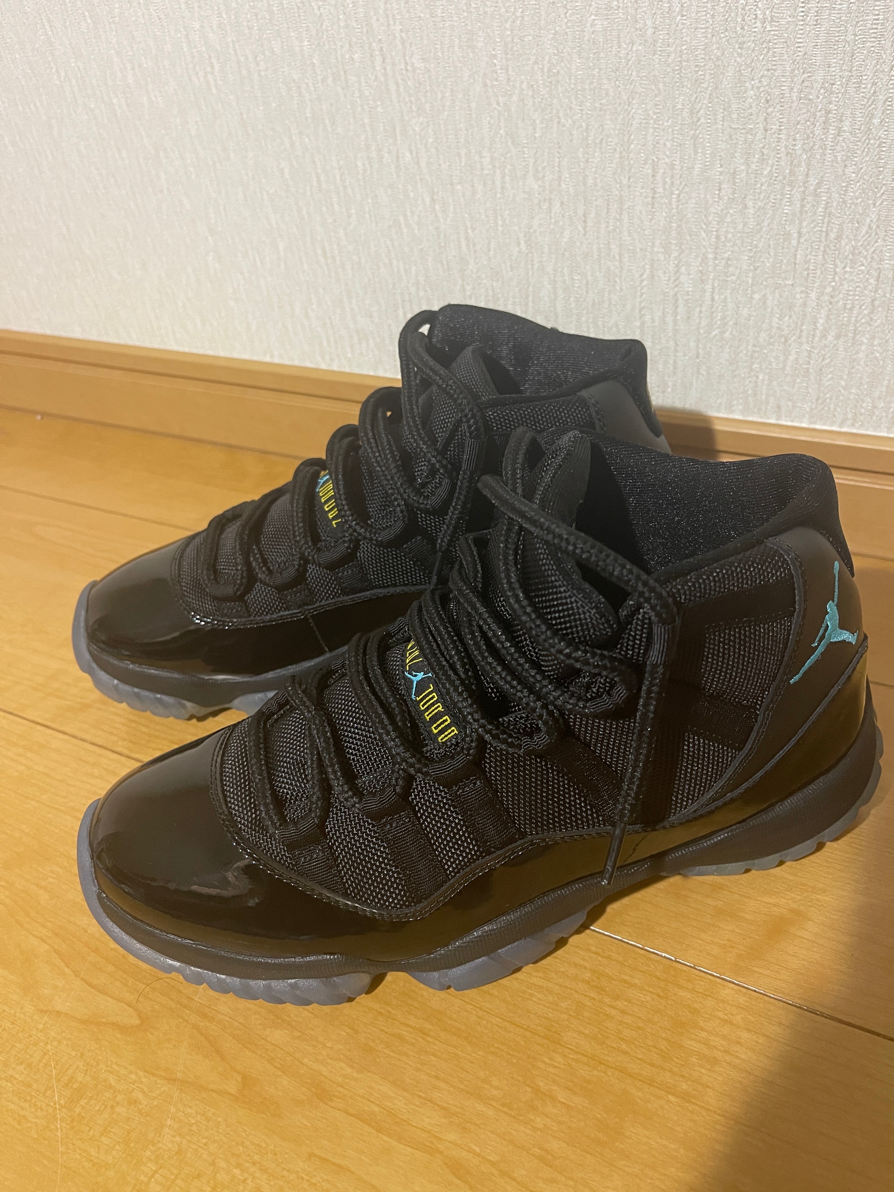 Nike Air Jordan 11 "Gamma" (2013)